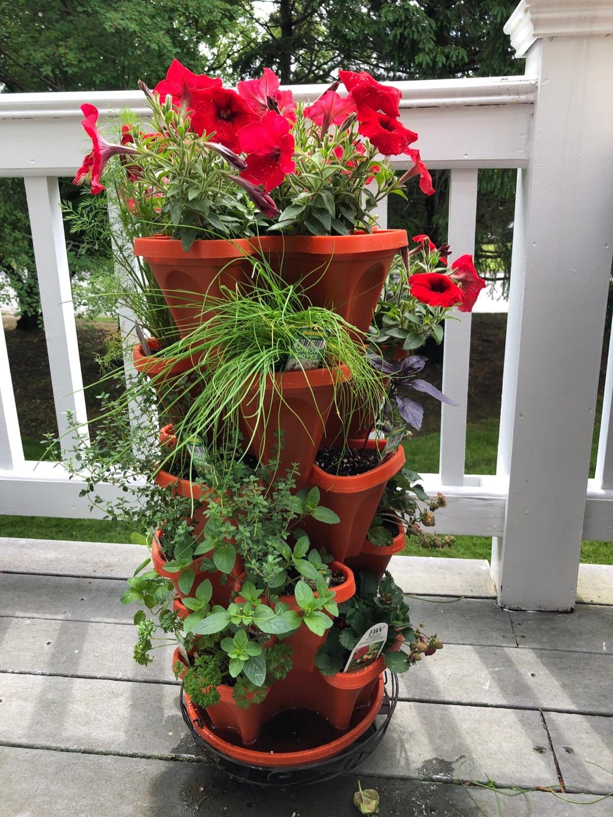 5 Tier Stackable Strawberry, Herb, Flower, and Vegetable Planter - Vertical Garden Indoor/Outdoor customer photo 2