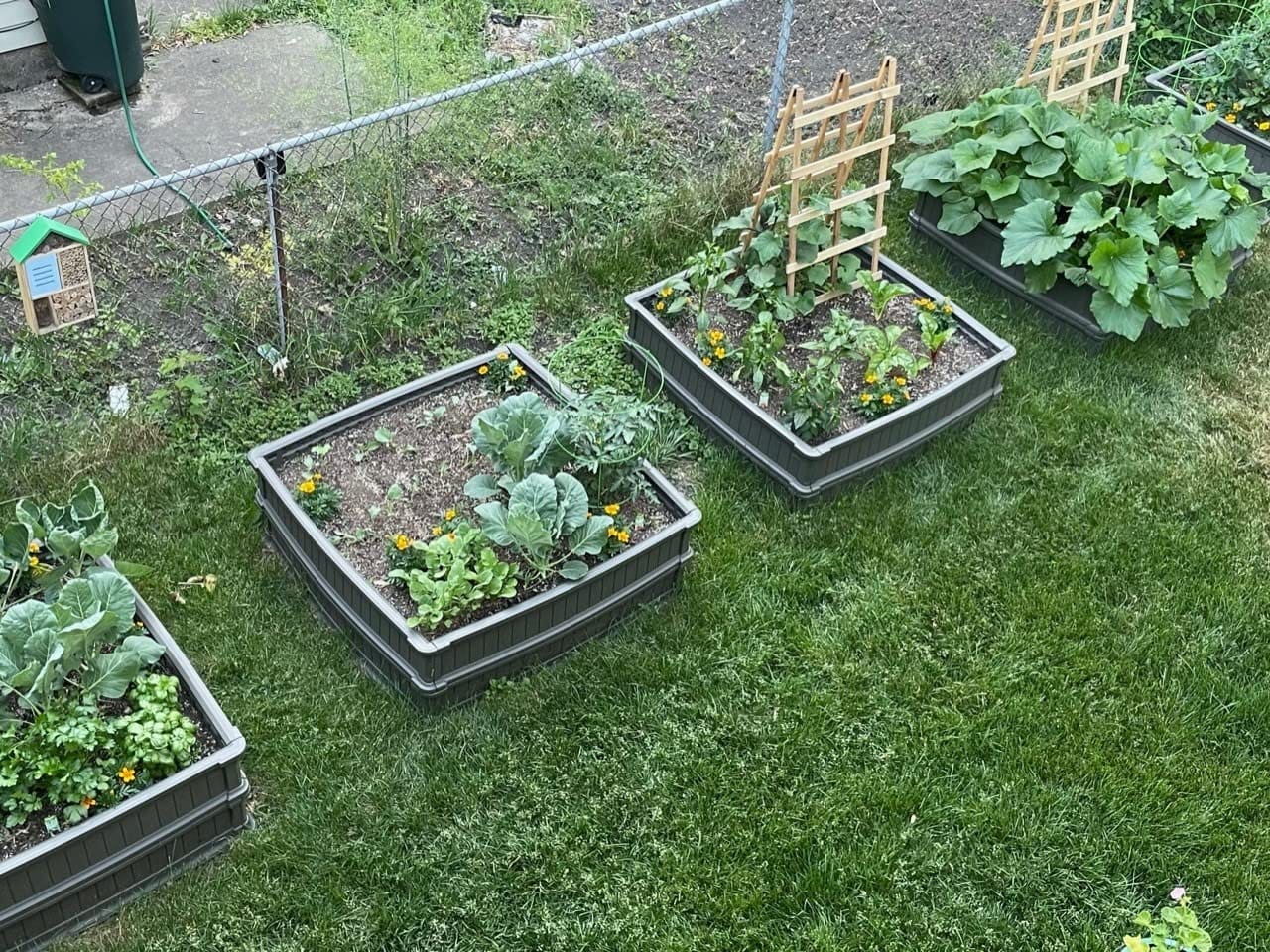LIFETIME 60069 Raised Garden Bed Kit, 4 x 4', Brown customer photo 2