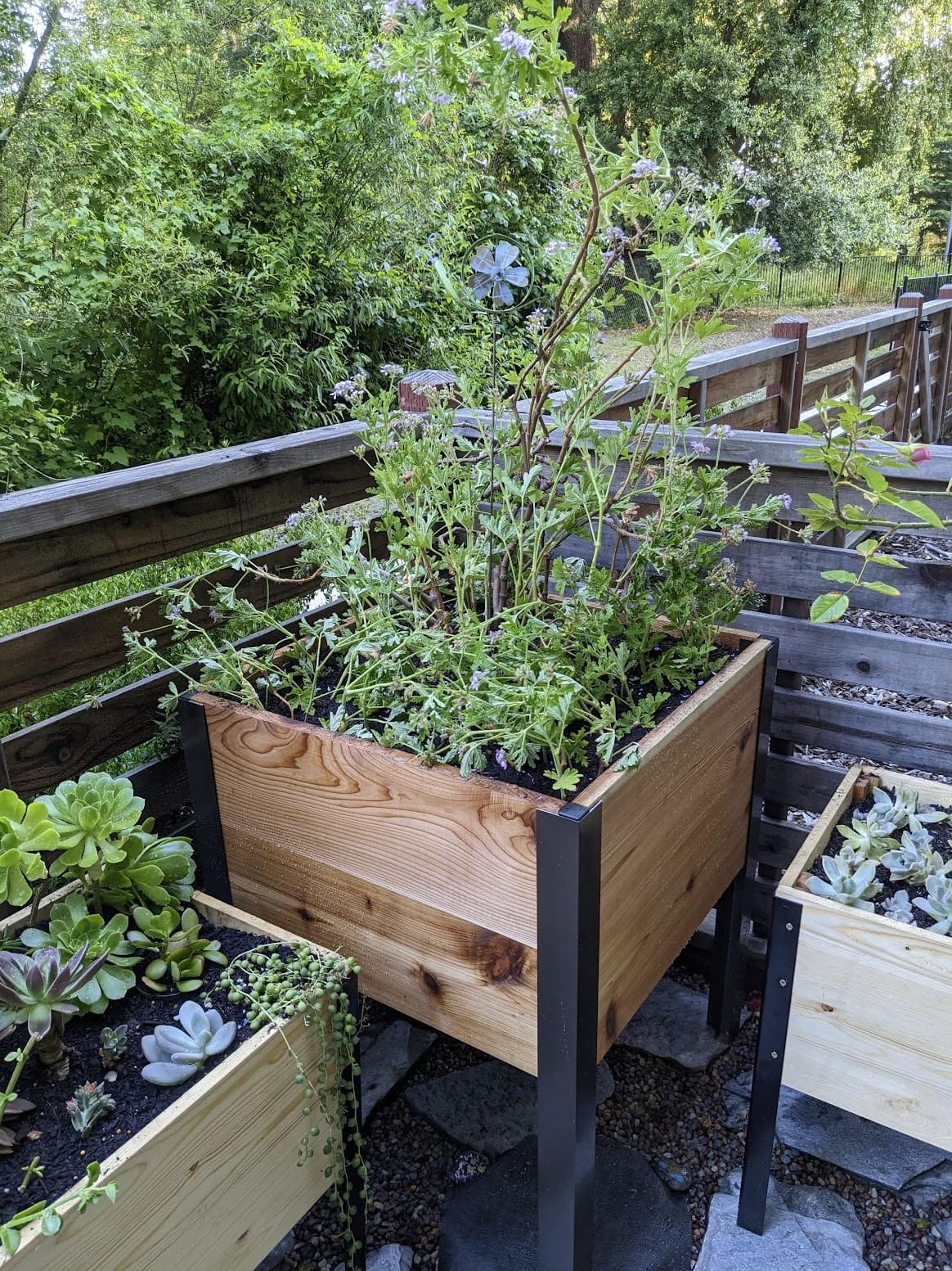 Gardener's Supply Company Elevated Cedar Raised Garden Bed 2' x 8' | Standing Planter with Heavy Duty Aluminum Corners for Outdoor Vegetable Flower Herb Planting customer photo 1