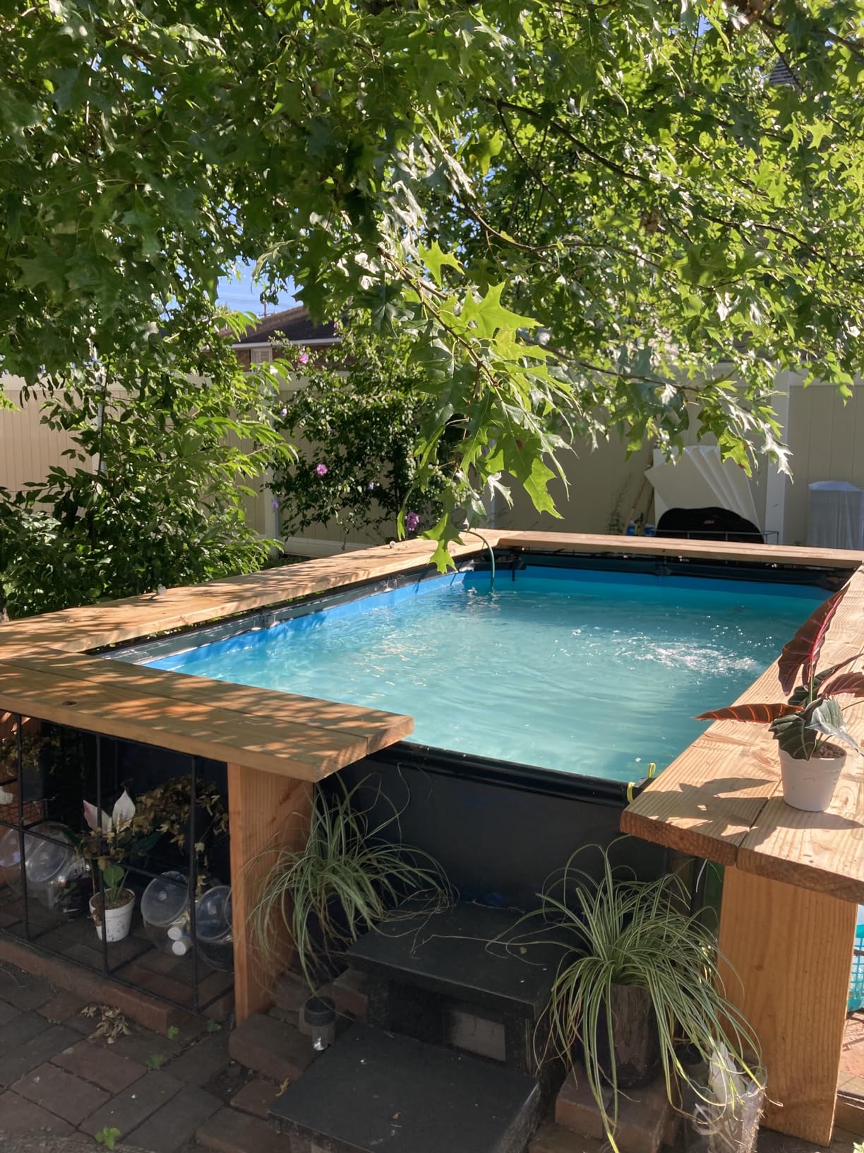 Bestway Steel Pro Deluxe Splash Frame Pool customer photo 1