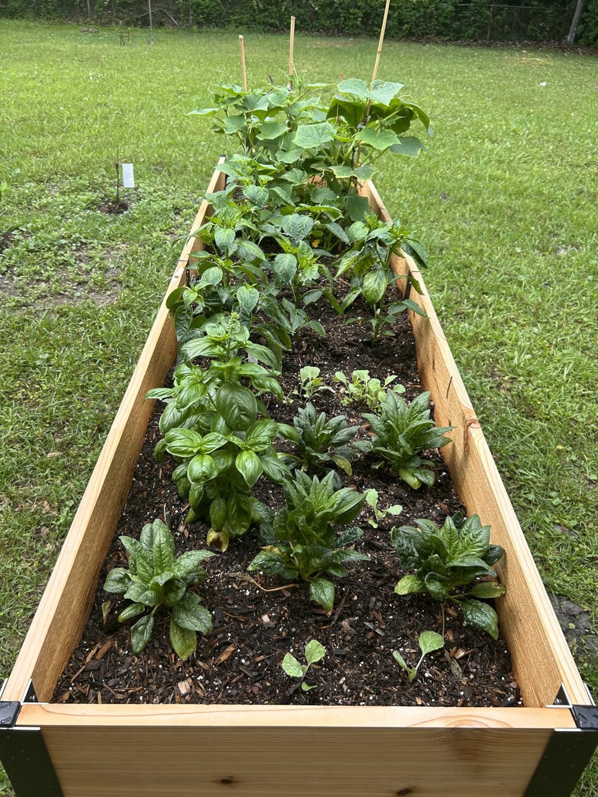 Gardener's Supply Company Elevated Cedar Raised Garden Bed 2' x 4' Planter customer photo 2