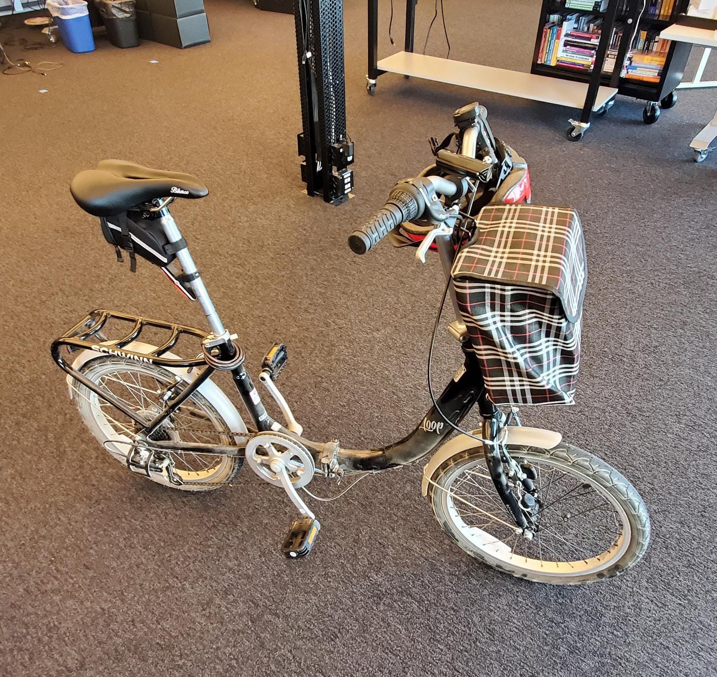 Schwinn Loop customer photo 1
