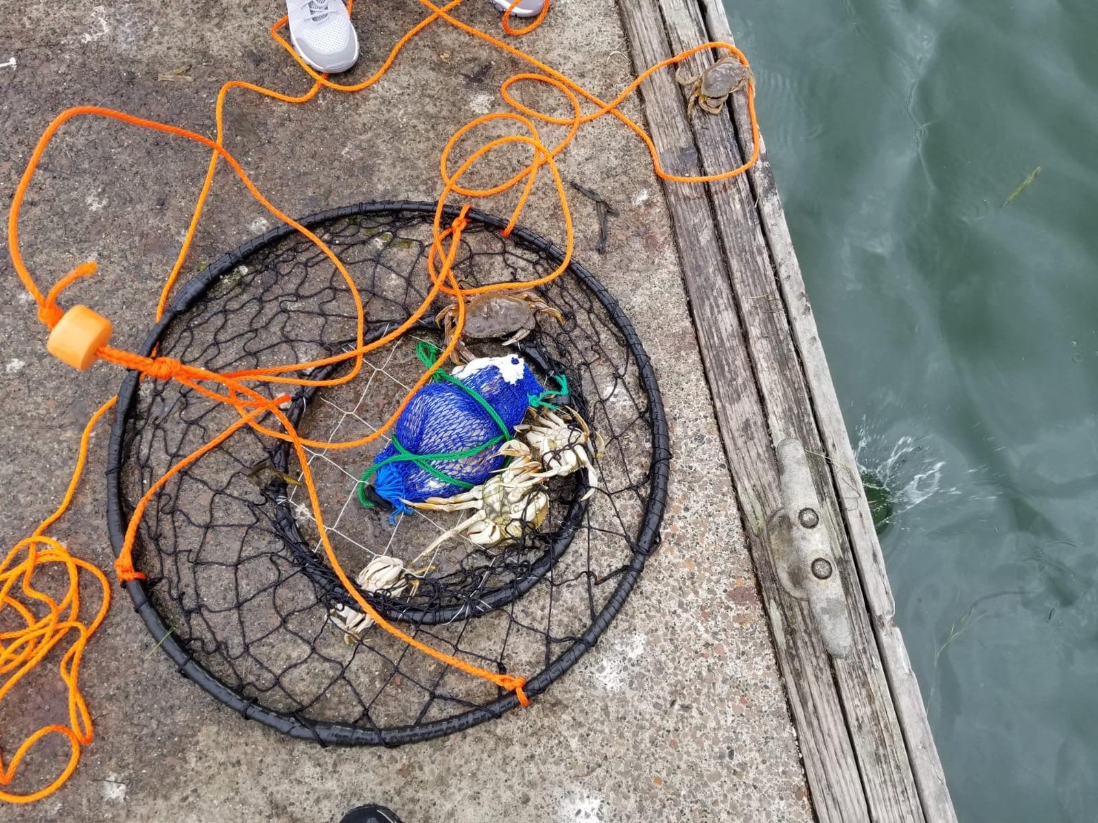 KUFA Rubber Wrapped Steel Ring Crab Trap (Size:ø30) with 50' Rope and the Bait cage (CT88+27093) (CT88) customer photo 2