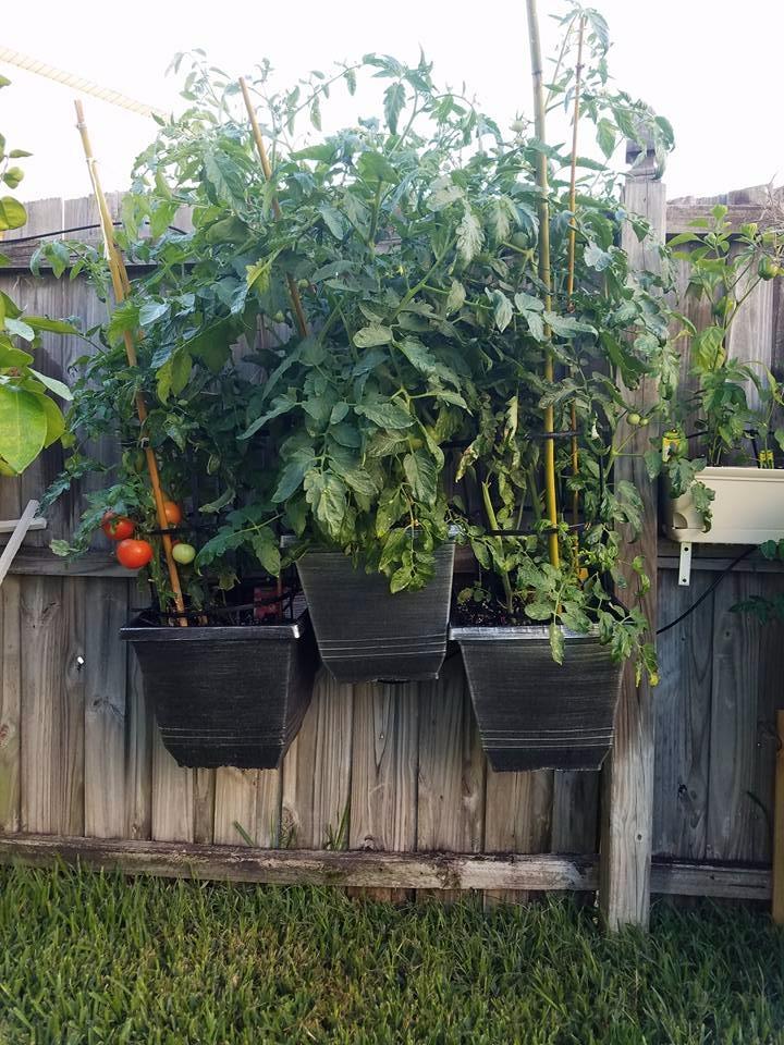 Raindrip R560DP Drip Watering System, Automatic Drip Irrigation System with Timer for Containers and Hanging Baskets, Waters up to 20 Plants, Includes 20 Drippers, Black customer photo 2