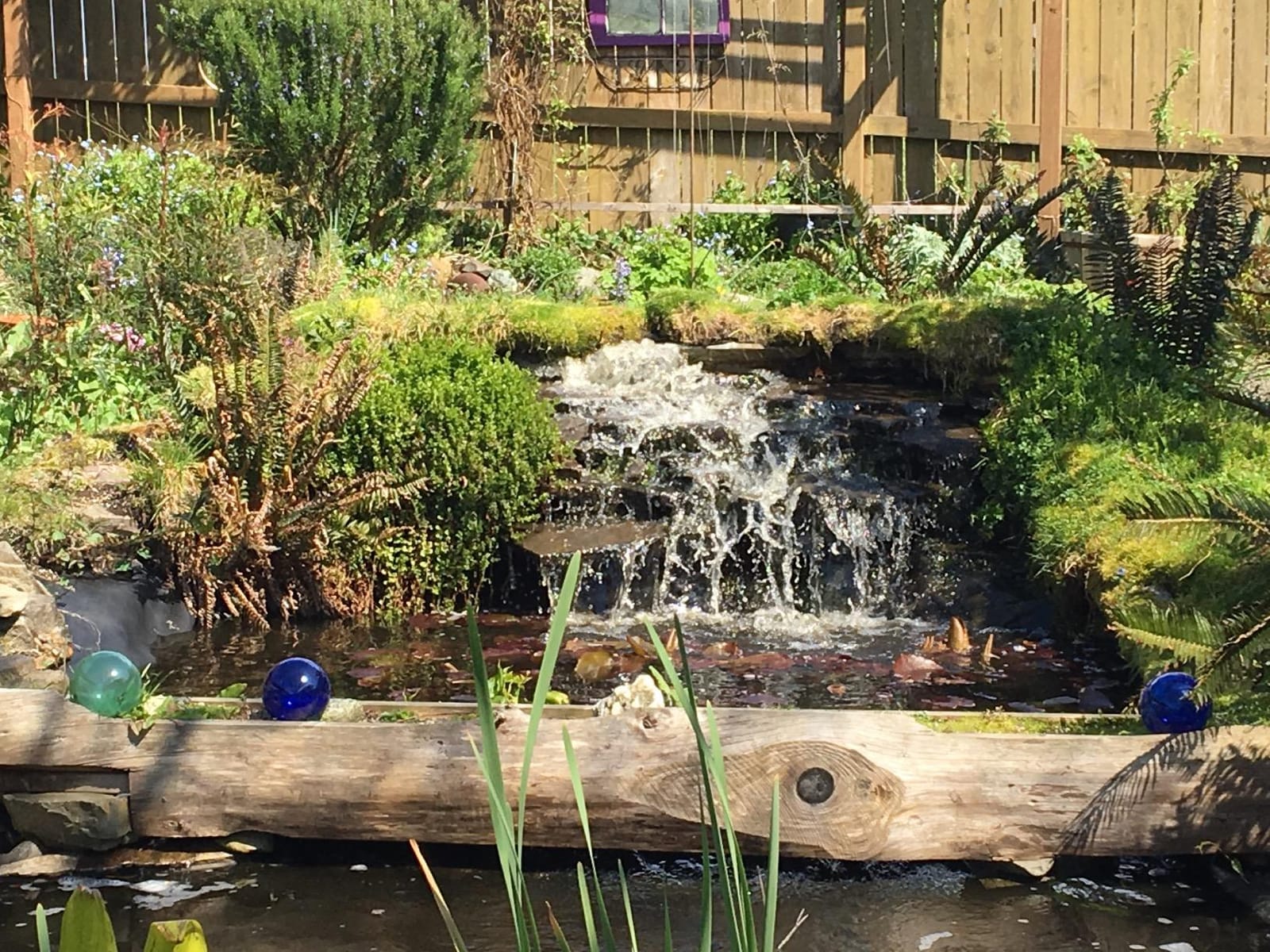 Pond Pulse Submersible Pond Pump, 5,500 GPH, 30 ft Cord | 31 ft max head, 540 Watts, Hybrid drive motor, Energy efficient, Fish safe, Skimmers, Water features customer photo 1