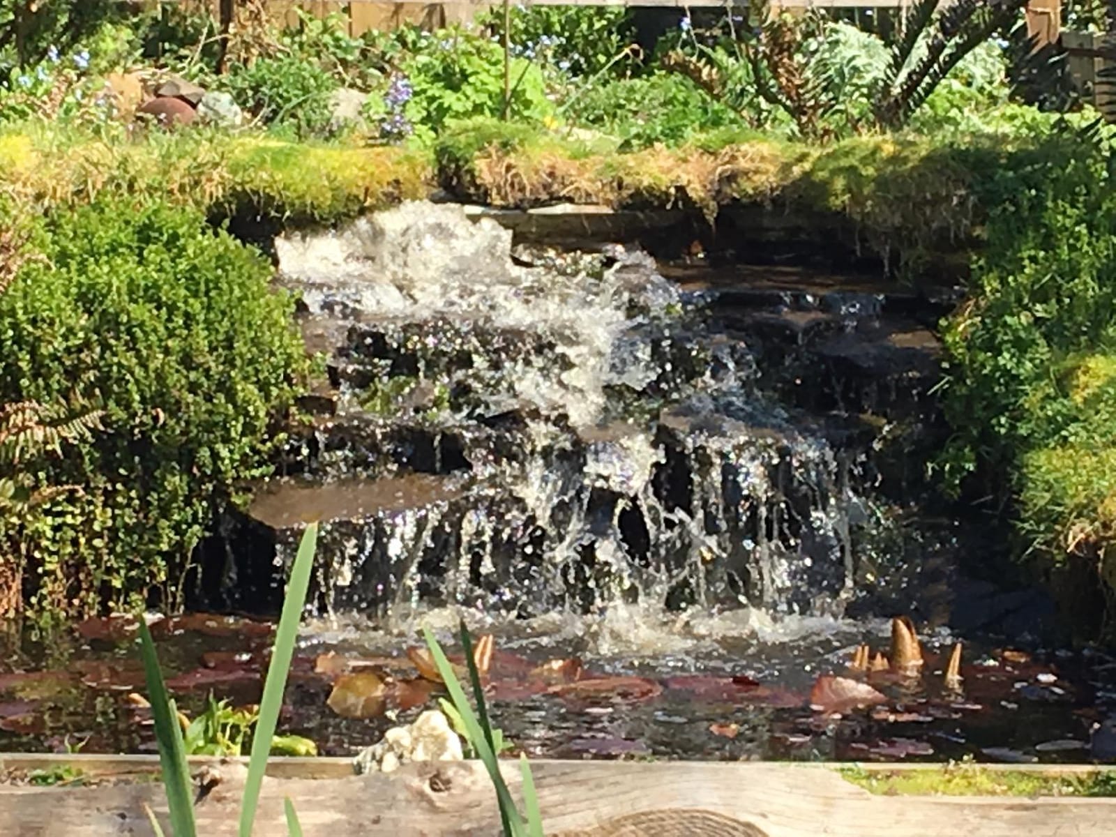 Pond Pulse Submersible Pond Pump, 5,500 GPH, 30 ft Cord | 31 ft max head, 540 Watts, Hybrid drive motor, Energy efficient, Fish safe, Skimmers, Water features customer photo 2