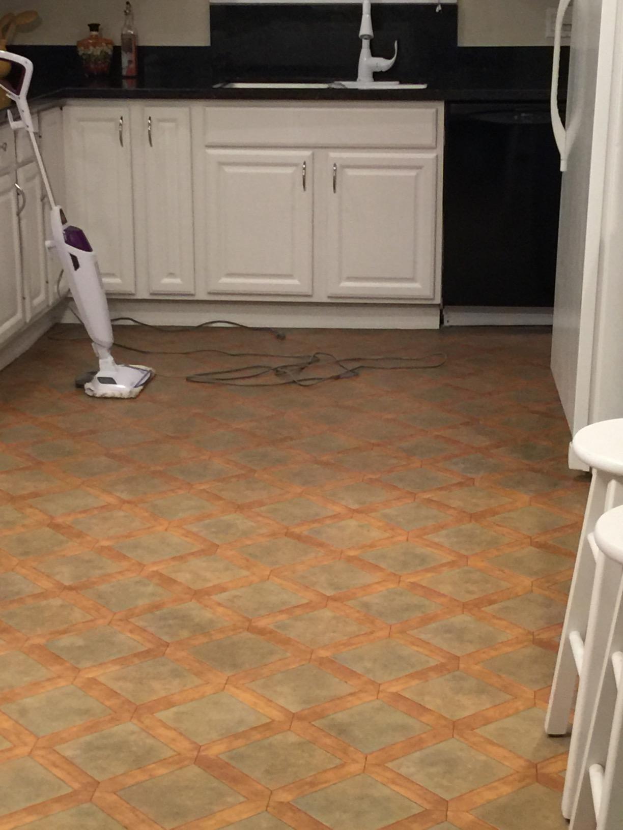 BISSELL PowerFresh Pet Steam Mop 19404 Hard Floor Steamer with Odor-Eliminating Scent Discs, Easy Scrubber for Tough Messes, 2 Steam Levels, Sanitizes customer photo 2