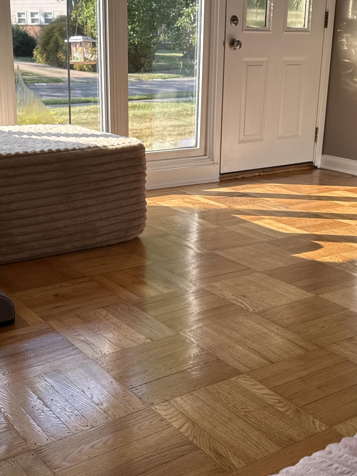 Rejuvenate Professional Wood Floor Restorer 32 Oz, Gloss Finish | 1-Coat Application Fills Scratches, Shines & Protects Hardwood Floors, Leaves A Glossy Finish, Safe For Pets & Kids customer photo 1