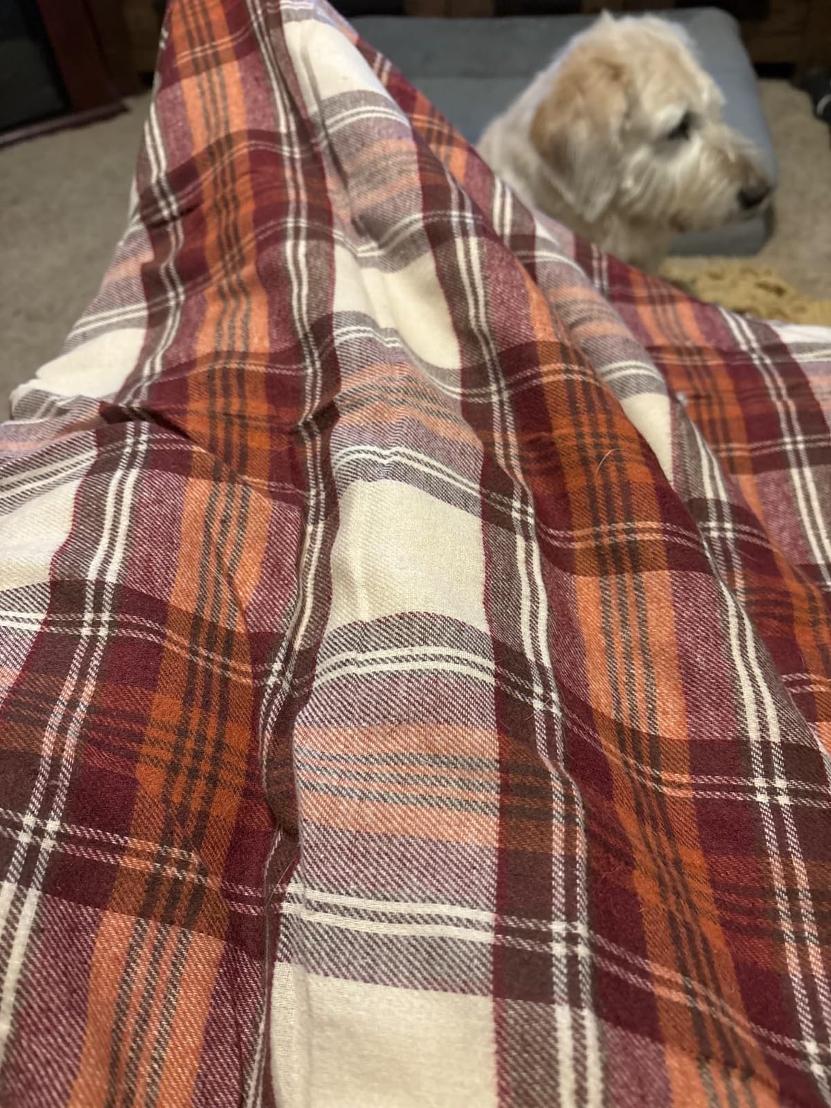 Eddie Bauer - Sherpa Throw Blanket for Couch 50x60 - Ultra Soft Reversible Fleece & Plush Sherpa Blanket, Warm Cozy Plaid Throw Blanket for Sofa, Bed, Living Room, Cabin Decor customer photo 2