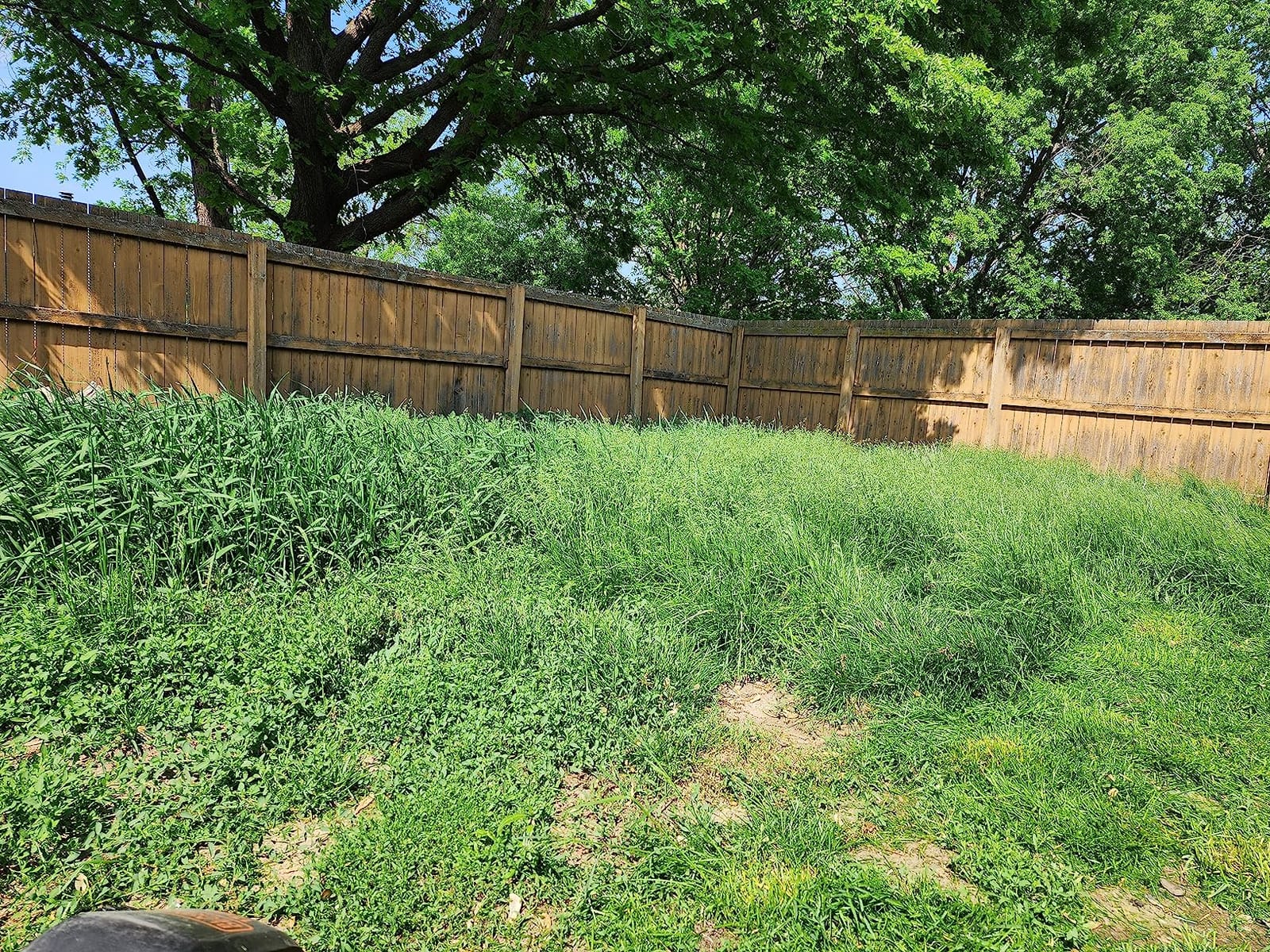 BLACK+DECKER 20-Inch Corded Electric Lawn Mower, Ultra Light Push Mower, 13-Amp High Output Motor, 3 in 1 Cutting Versatility, Tool Free Height Adjustment, 7-setting Cutting Height (MM2000) customer photo 1