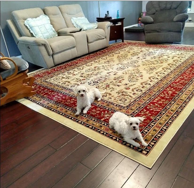 SAFAVIEH Area Rug 8x10 - Lyndhurst Collection - Large - Ivory & Red, Traditional Oriental Design, Non-Shedding & Easy to Clean customer photo 2