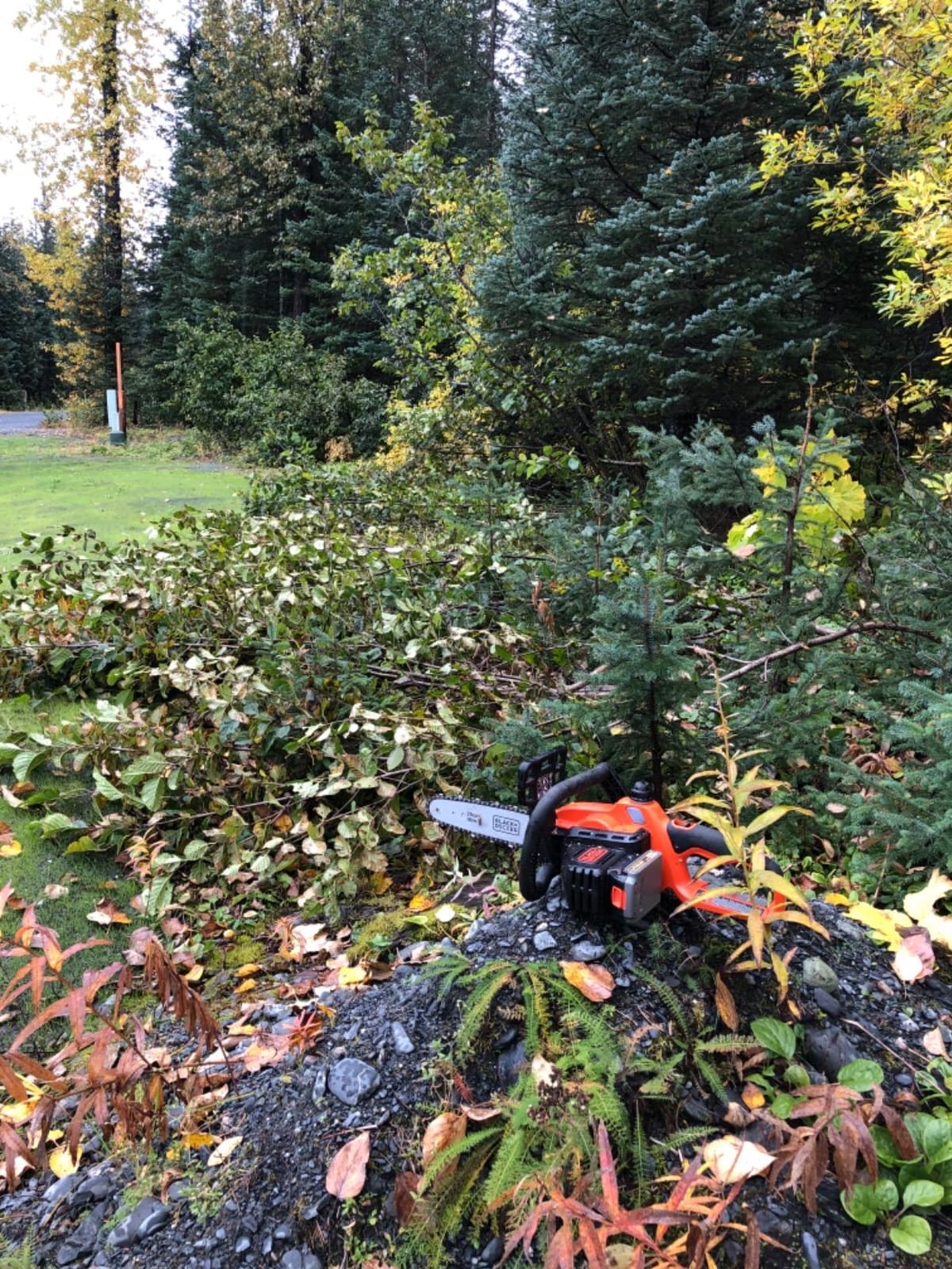 BLACK+DECKER 20V MAX Chain Saw Cordless Chainsaw, 10-Inch Battery Chainsaw, Tool Only, for Wood Cutting and Tree Pruning, Includes Guide Bar Scabbard (LCS1020B) customer photo 2