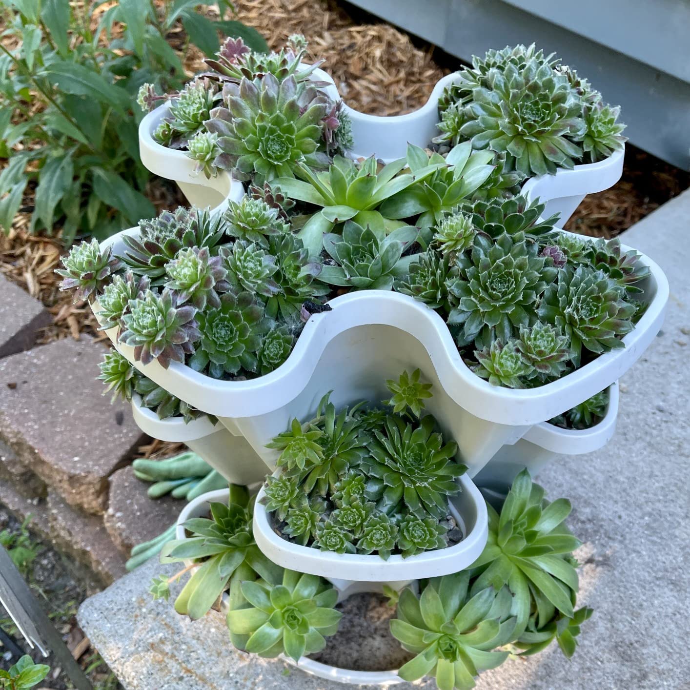 Mr. Stacky Self Watering 3 Tier Stackable Garden Vertical Planter Set, Terracotta Small customer photo 2