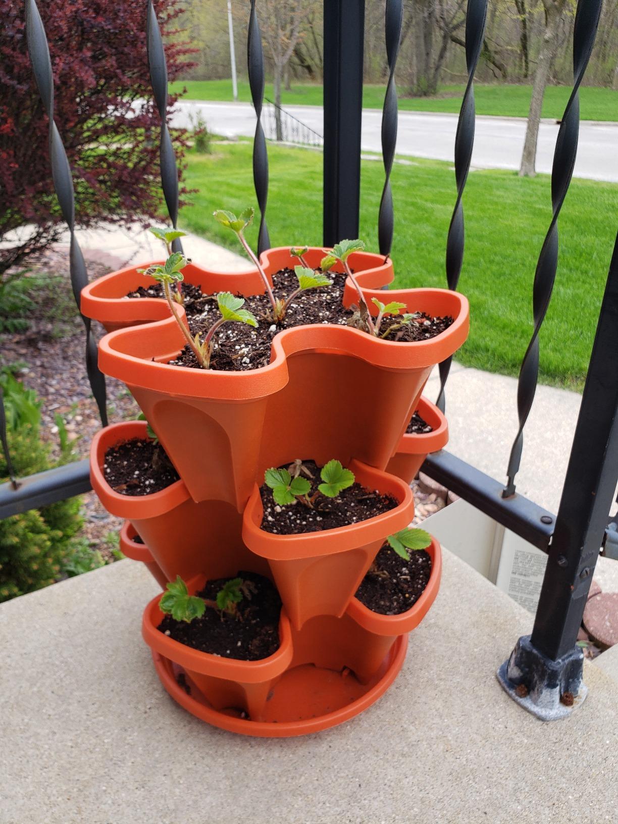 Mr. Stacky Self Watering 3 Tier Stackable Garden Vertical Plastic Planter Set, Hunter Green customer photo 1