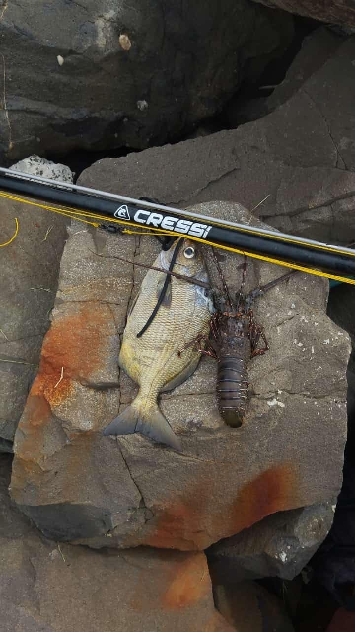 Cressi Apache Aluminum Speargun with Galvanized Notched Shaft & Circular Elastic Band - Made in Italy: Quality Since 1946 customer photo 1