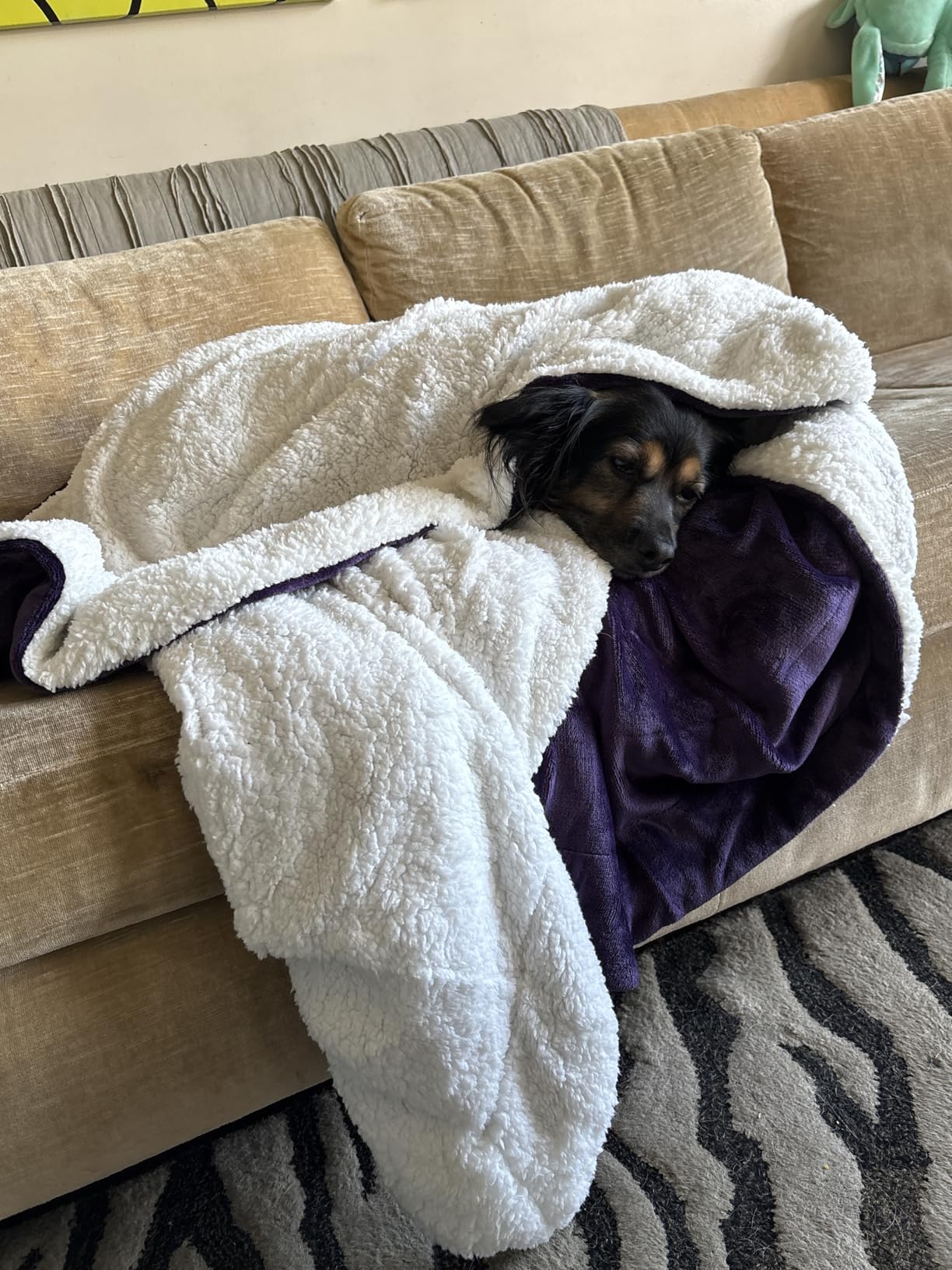 Bedsure GentleSoft Sherpa Fleece Throw Blanket for Couch, Non-Heated, Thick and Warm Throw for Women and Men, Soft Fuzzy Plush Weight Blanket for Winter, Navy, 50x60 Inches customer photo 2