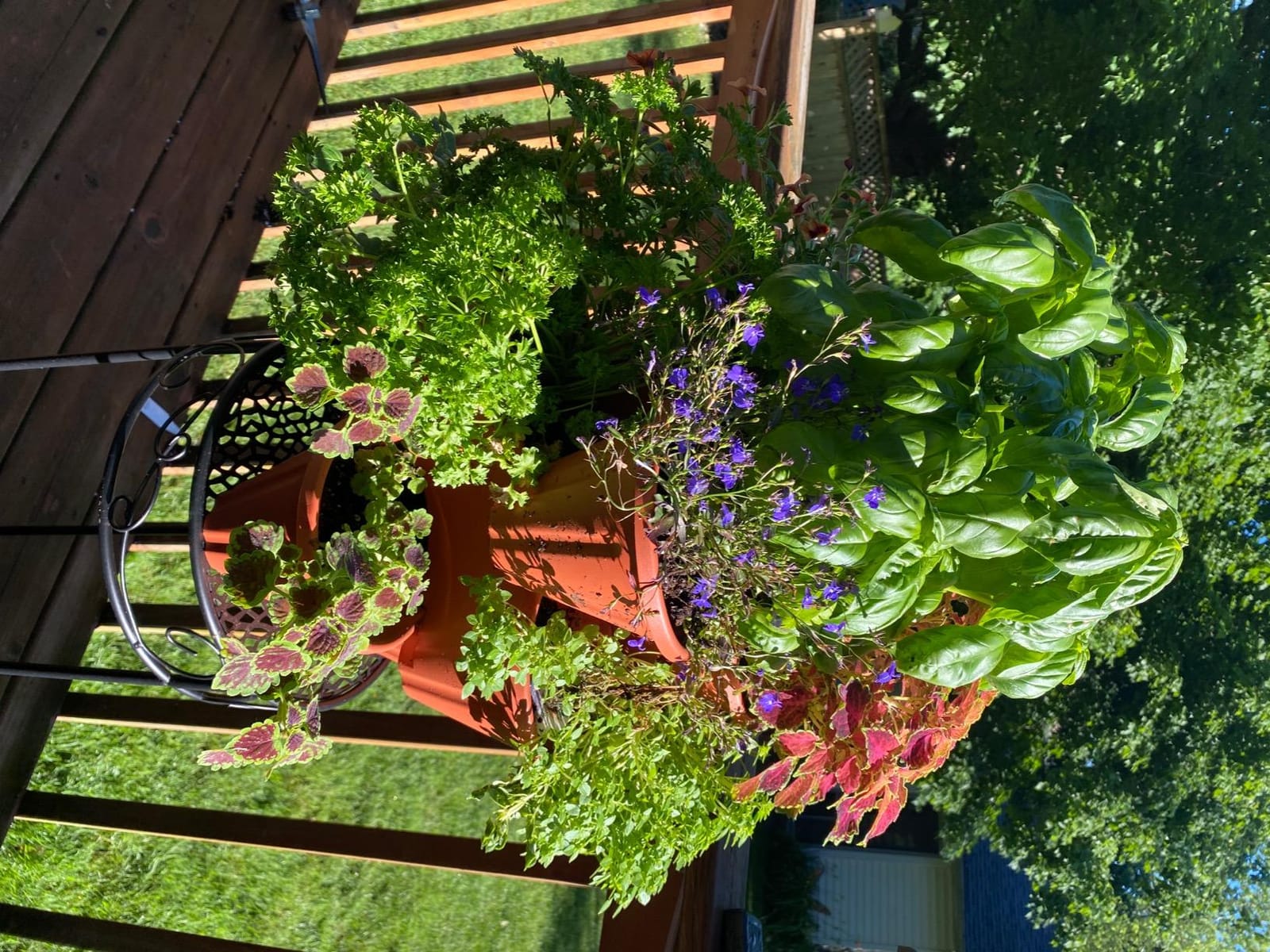 Stacking Planter Tower- 3-Tier Space Saving Flower Pots- Set of 3 Indoor/Outdoor Vertical Herb & Vegetable Garden by Pure Garden (Terracotta Colored) customer photo 2