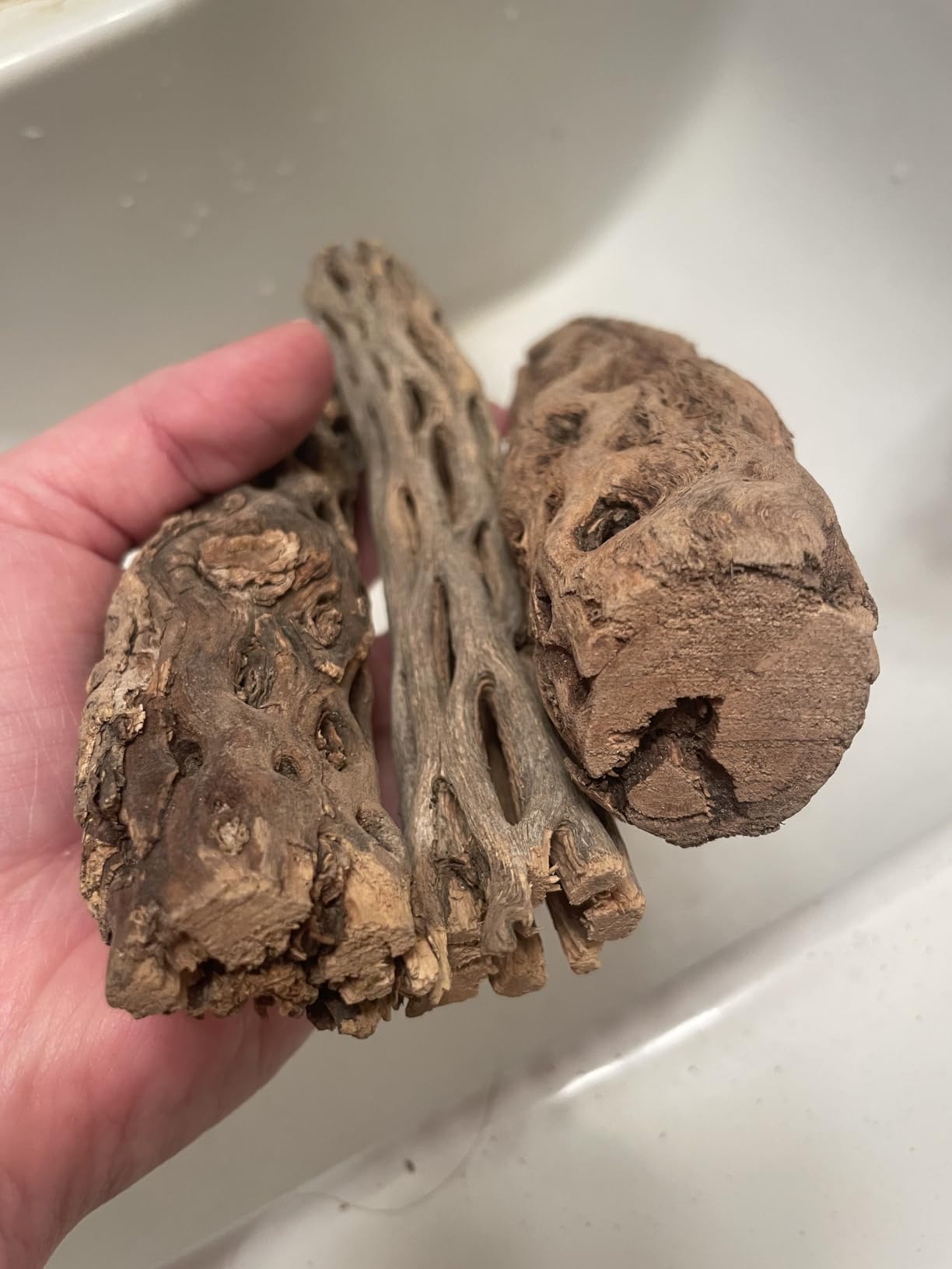 SunGrow 3 Pack Shrimp Cholla Wood, Aquarium Driftwood Decor for Fish Tank Setup, Shelter Hideout and Grazing Surface, Habitat Enrichment for Shrimp Snail Pleco, 6 Inch Branch customer photo 2