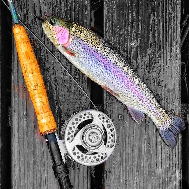 Maxcatch 3-12wt Medium-Fast Action Premier Fly Fishing Rod-IM8 Carbon Blank for High Performance,with AA Cork Grip Hard Chromed Guides customer photo 2