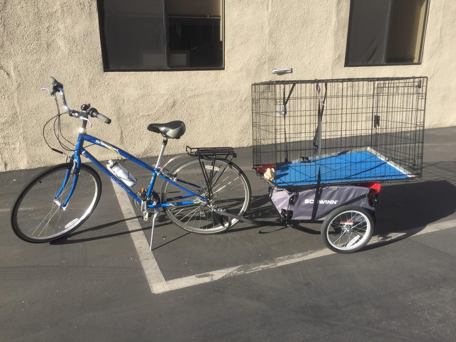 Schwinn Daytripper Bike Cargo Trailer, Holds up to 100 lb, Universal Coupler, Folding Frame, Quick-Release Wheels, 16-Inch Air-Filled Tires, Interior D-Rings, Schwinn Bike Trailer for Carrying Cargo customer photo 1