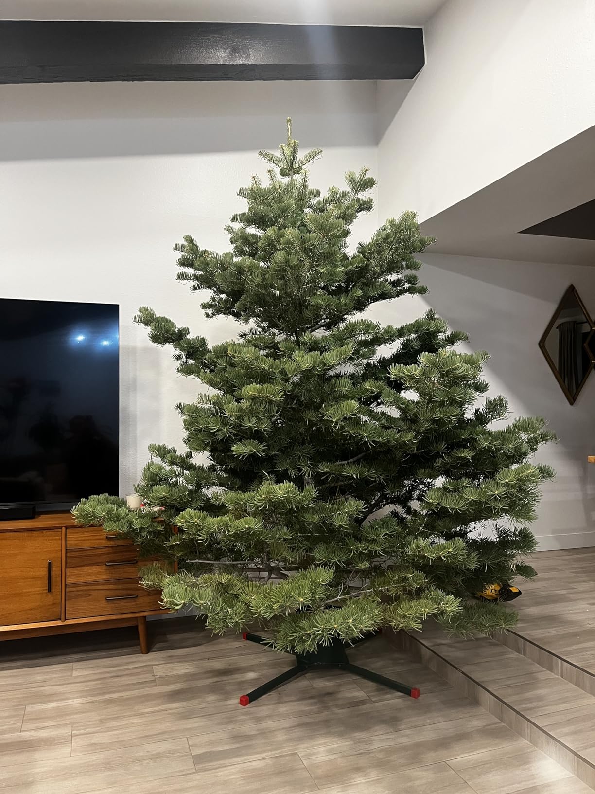 Goliath Welded Steel Christmas Tree Stand for Live Trees 5 to 12 Foot customer photo 2