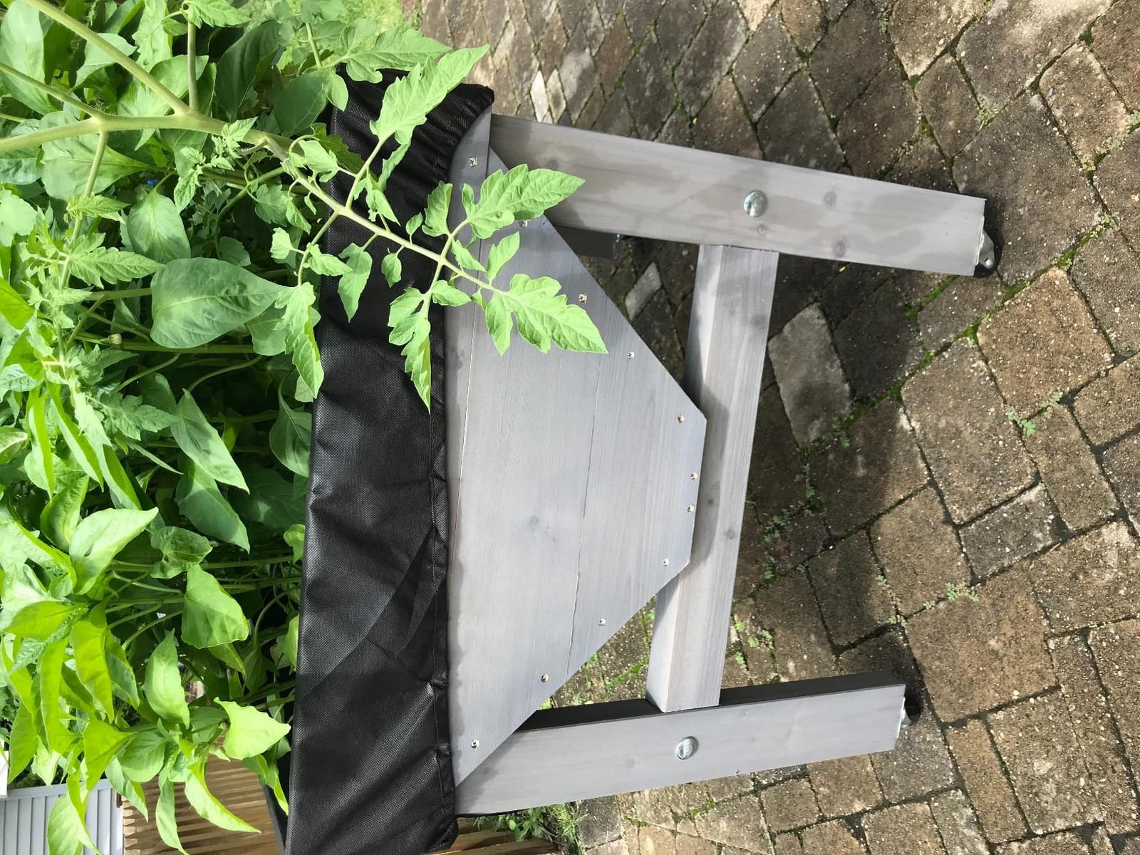VegTrug Classic Raised Bed, Grey Wash, Small 1m - Cedar Wood V-Shaped Raised Garden Bed for Outdoor Gardening - Ergonomic Design for Balcony, Patio & Small Spaces customer photo 1