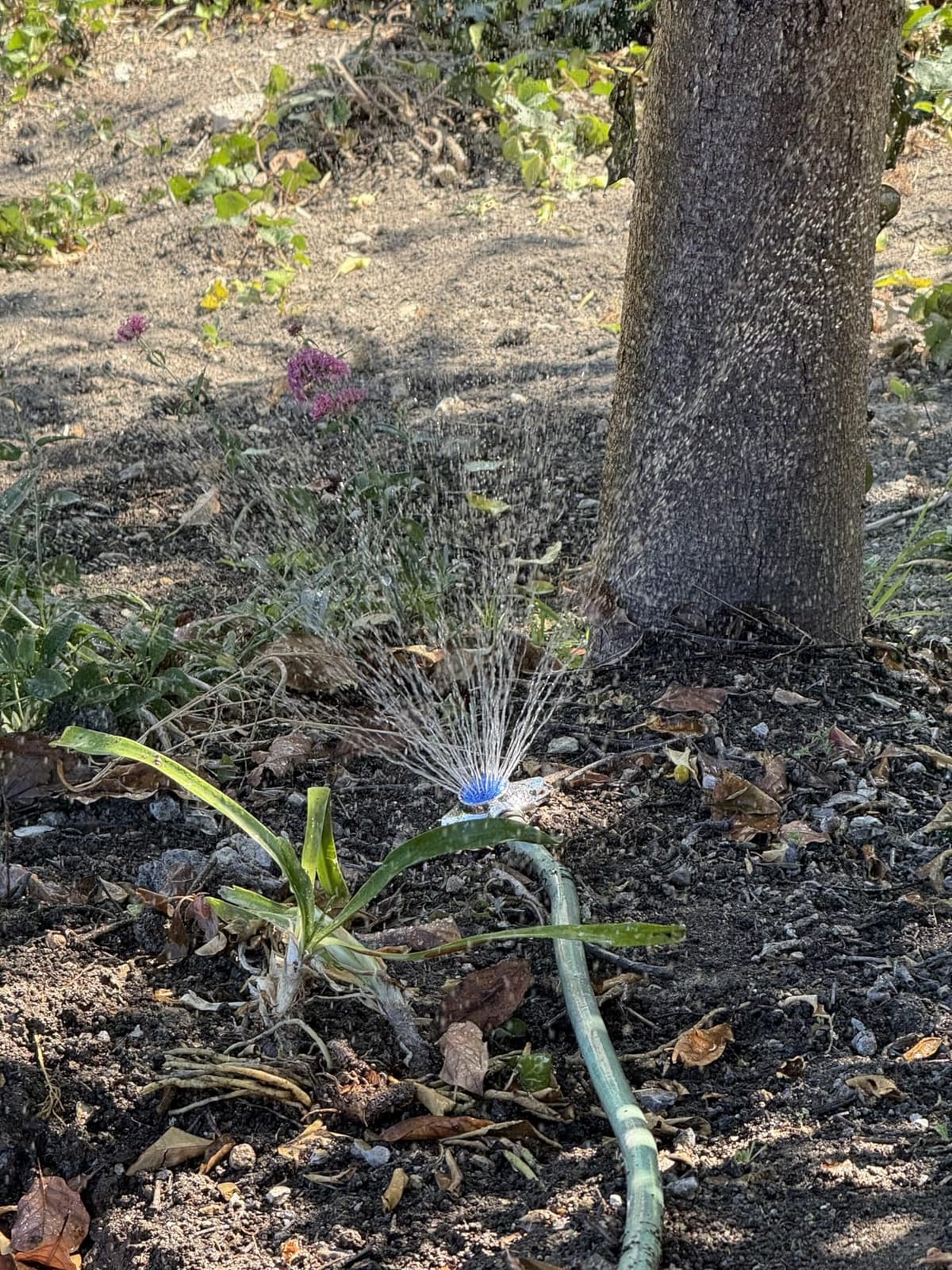 360 Degree Metal Spot Sprinkler, Small Sprinkler Garden for Small Areas | Lawn Sprinklers for Yard Circle Pattern with Gentle Water Flow Garden Watering customer photo 1