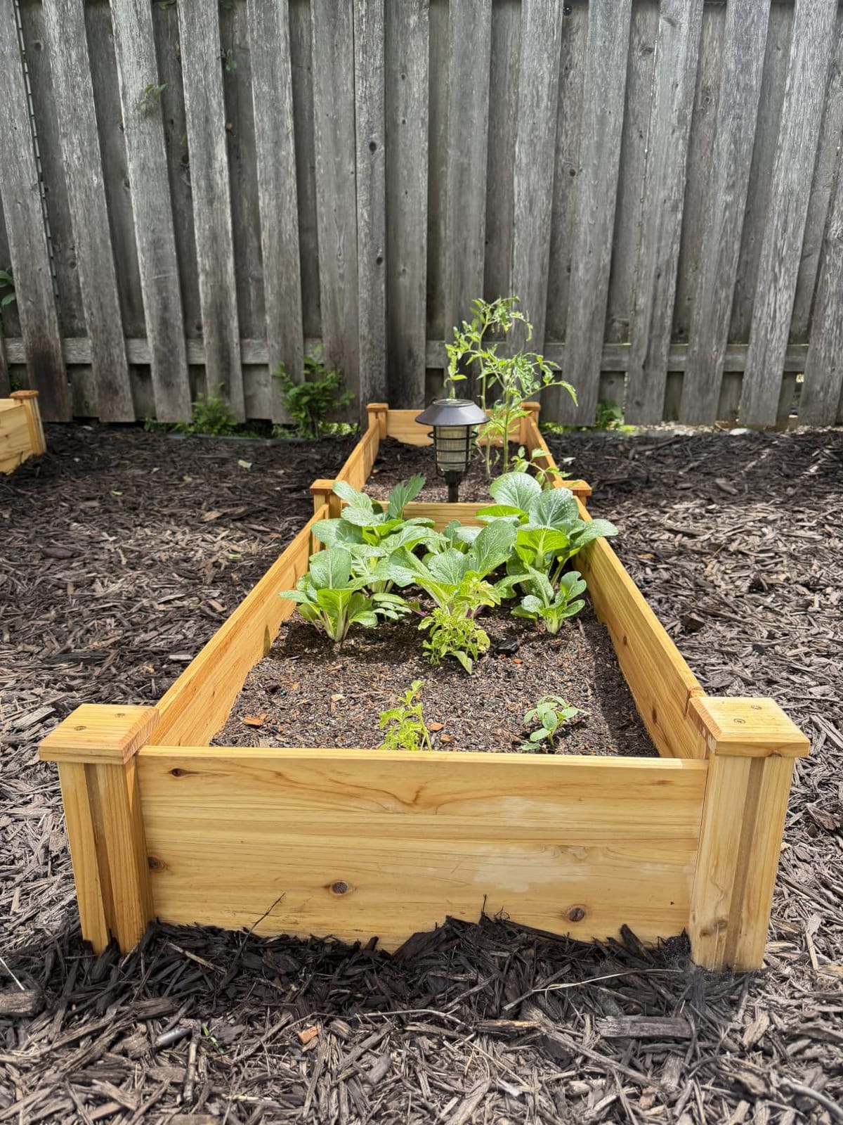 Yaheetech Wooden Raised Garden Bed Outdoor Planter Box, Wood - Made of fir wood customer photo 1