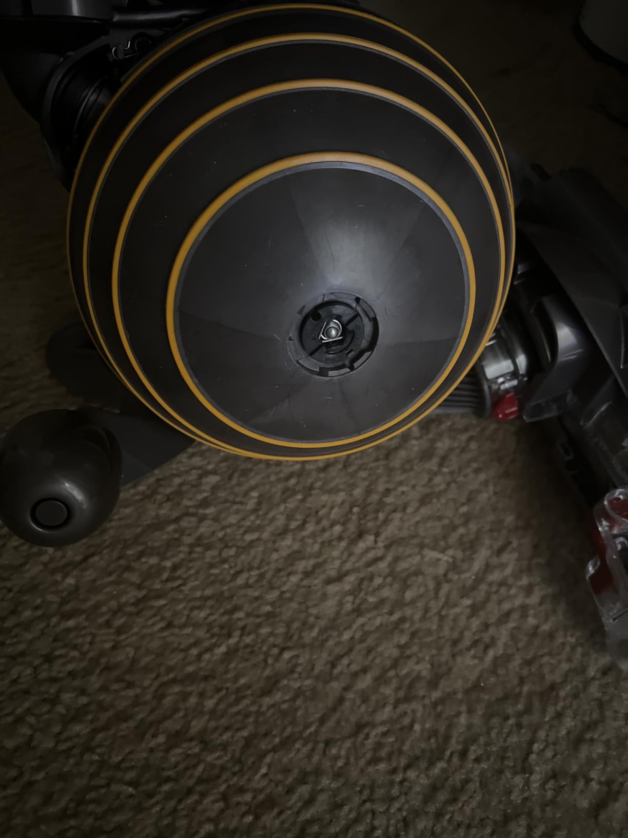 Dyson Ball Animal 2 Upright Corded Vacuum Cleaner: HEPA Filter, Height Adjustment, Self-Adjusting Cleaner Head, Telescopic Handle, Rotating Brushes, Fuchsia customer photo 1