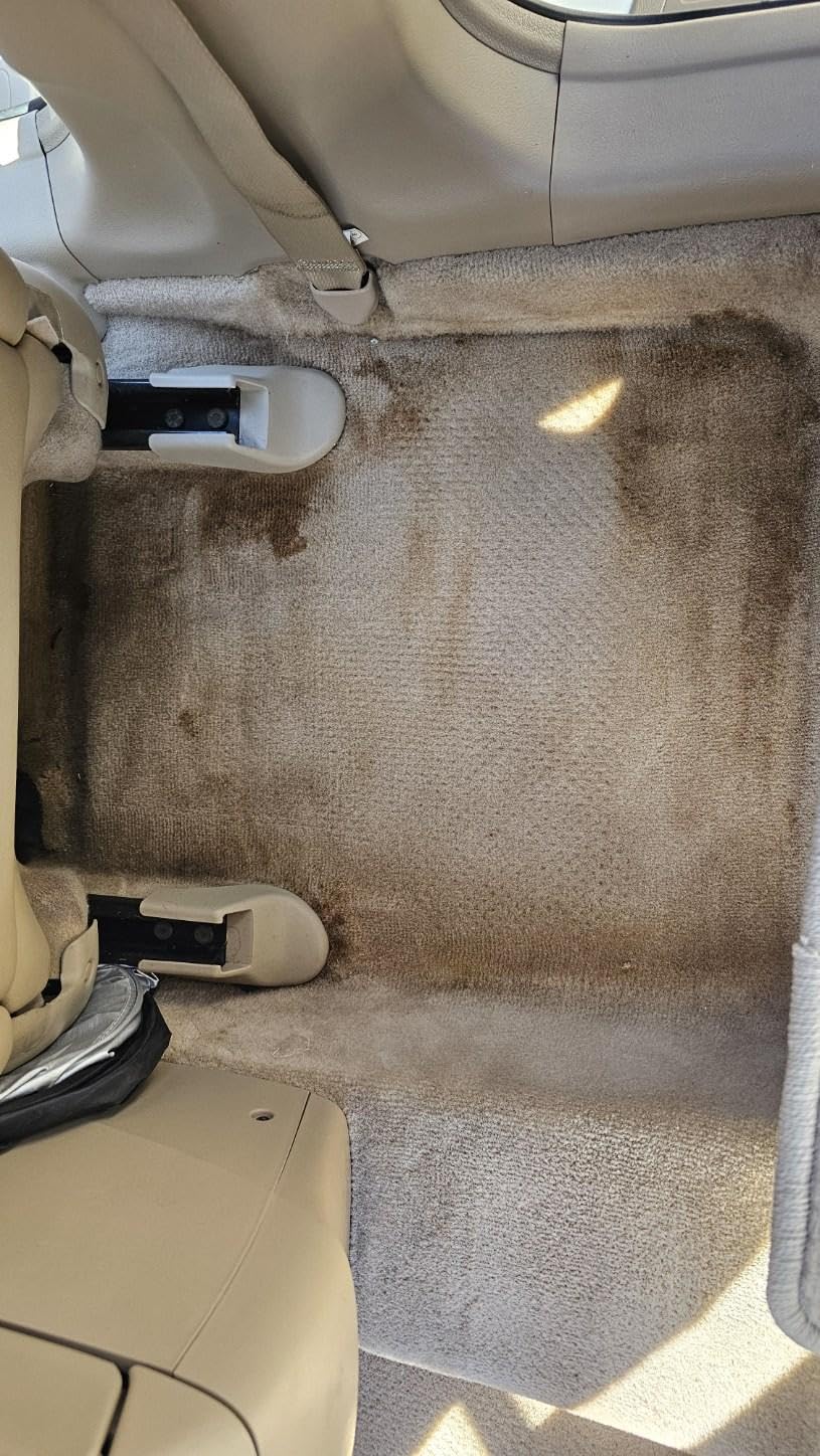 P & S PROFESSIONAL DETAIL PRODUCTS Terminator Enzyme Spot & Stain Remover - Professional Upholstery & Carpet Cleaner, Eliminates Grease, Dirt, Protein-Based Stains, Fresh Scent - 1 Gallon customer photo 2
