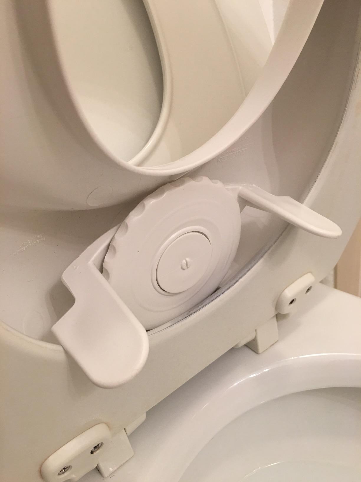 BabyBjörn Toilet Trainer, White/Gray customer photo 1
