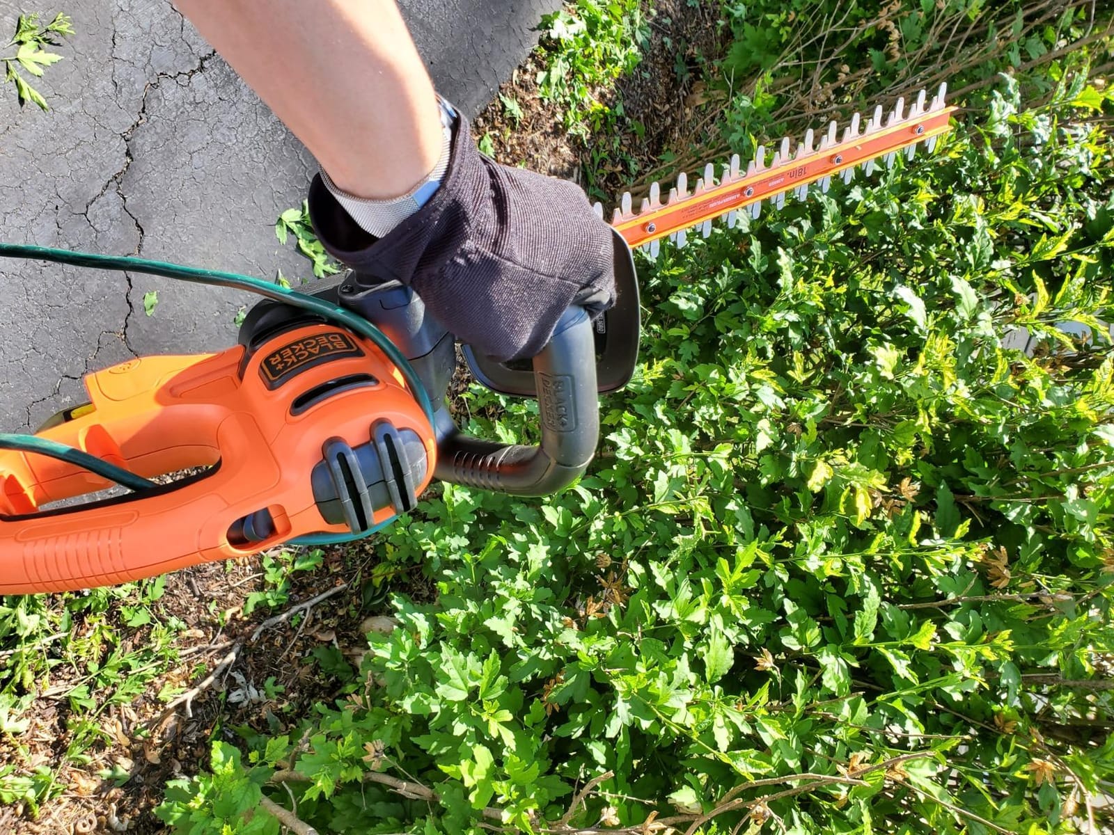 BLACK+DECKER 18-Inch Electric Hedge Trimmer (BEHT200) customer photo 1