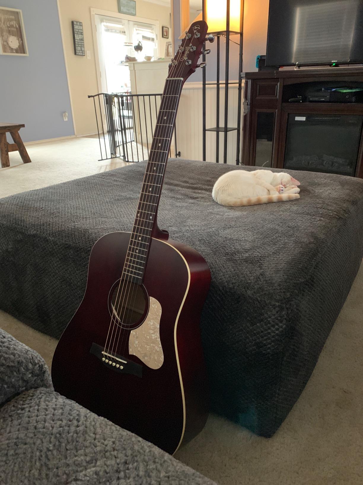 Seagull S6 Original DREADNOUGHT Acoustic Guitar, Rosewood Fingerboard | Custom SEMI-GLOSS customer photo 2