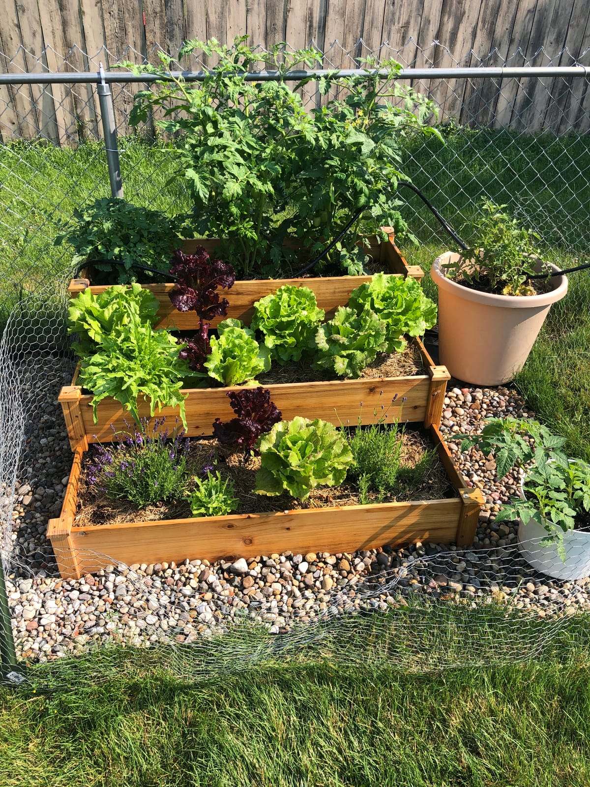 Topeakmart 3 Tier Raised Garden Beds Outdoor Wood Vertical Planter Box, Raised Flower Bed for Vegetables Herbs & Flowers with Tiered Growing Sections for Backyard Patio Balcony and Garden Planting customer photo 1