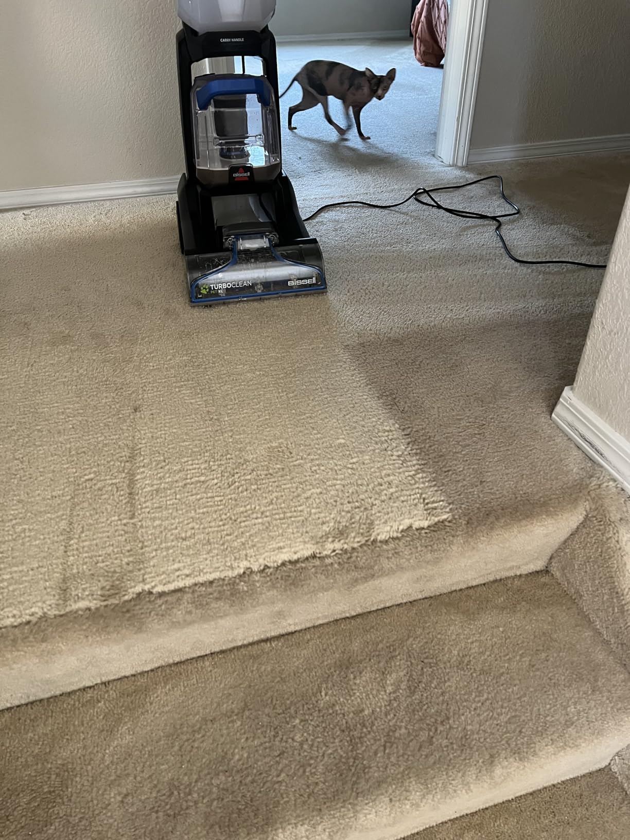 Bissell PET PRO OXY Urine Eliminator with Febreze Carpet Deep Clean Solution, with StainProtect Technology, for use in leading upright carpet cleaners, 48oz customer photo 2