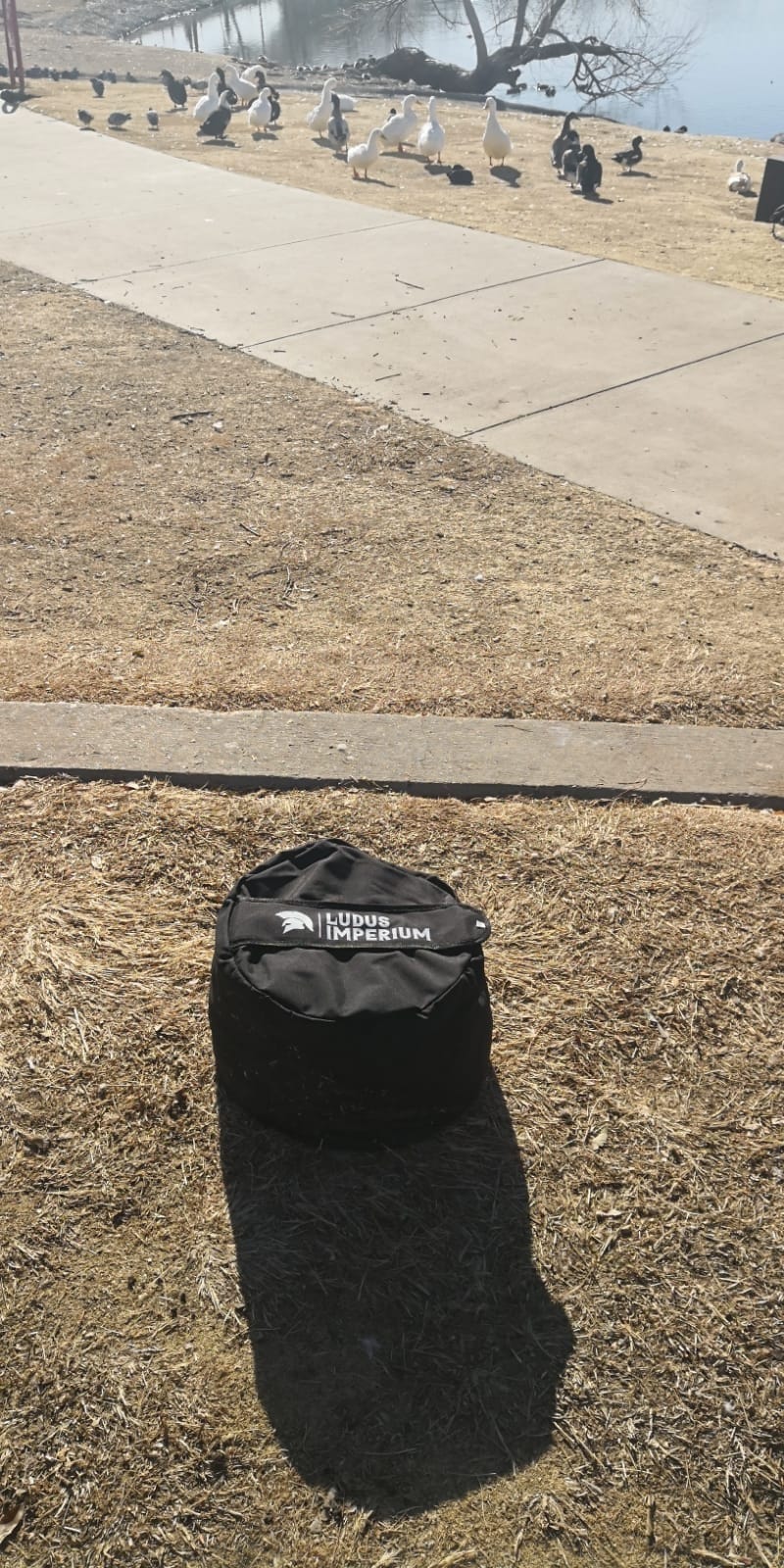 Training Sandbag, Heavy Duty Workout Sandbags for Training, Fitness, Cross-Training & Exercise, Workouts, Sandbag Weights customer photo 2
