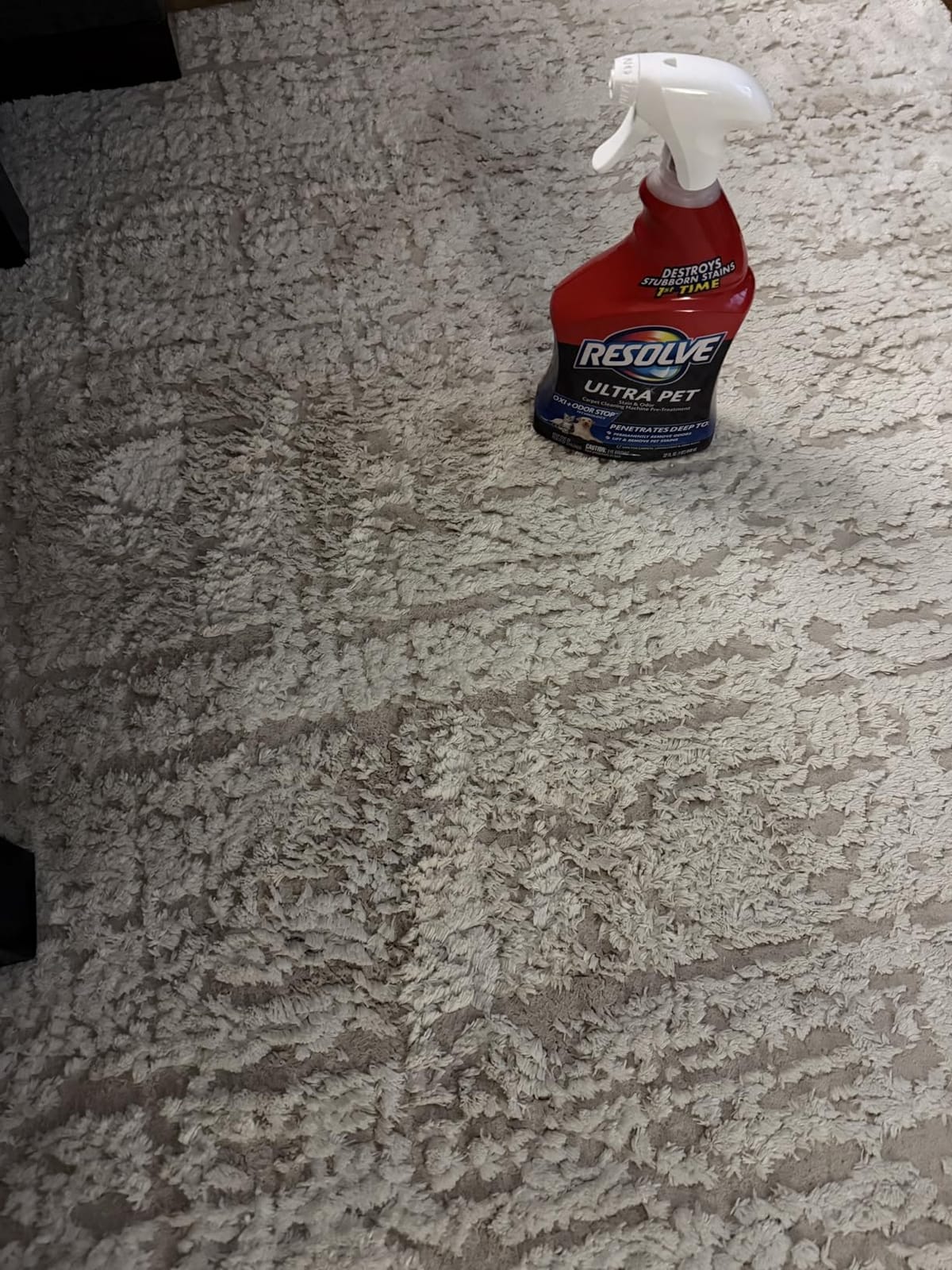 Resolve Ultra Pet Carpet Cleaner Spray, Pet Stain Remover, 32oz customer photo 1