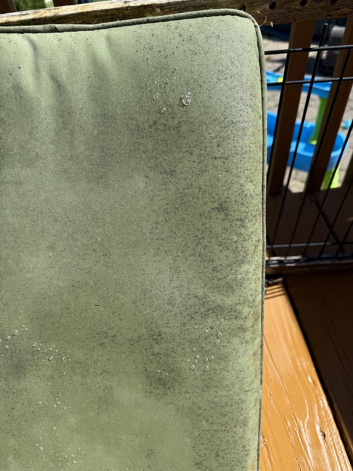 30 SECONDS Outdoor Mold & Mildew Stain Remover Spray, 32 oz 2 Pack customer photo 2