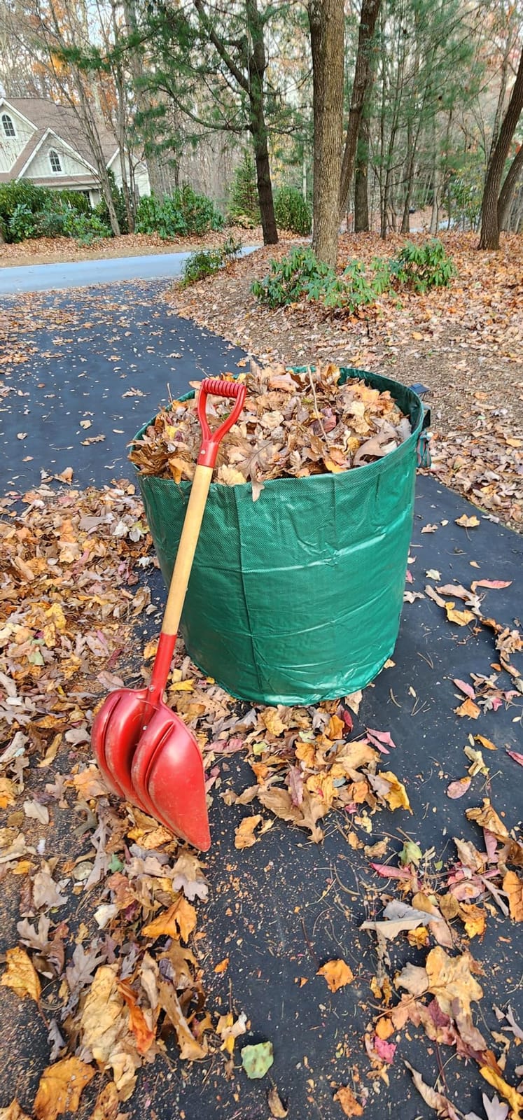 Professional 3-Pack 63 Gallon Lawn Garden Bags Large (D31,H19 inch) Yard Waste Bags W/Gardening Gloves,Standable,Reusable Leaf Bag,Lawn Debris Bin,Garden Trash Container,Plant Trimmings Bag 4 Handles customer photo 2