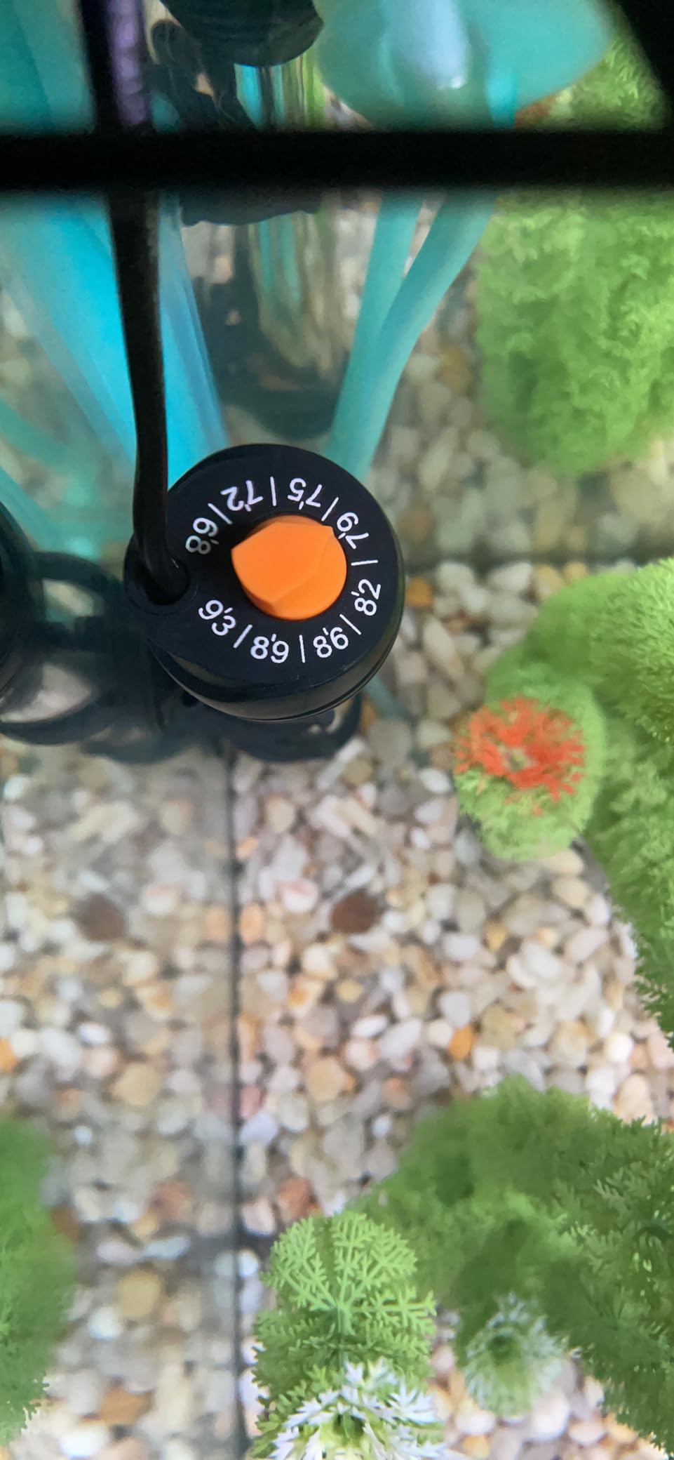 Orlushy Submersible Aquarium Heater, Adjustable Fish Tank Heater with Free Thermometer Suitable for Marine Saltwater and Freshwater customer photo 1