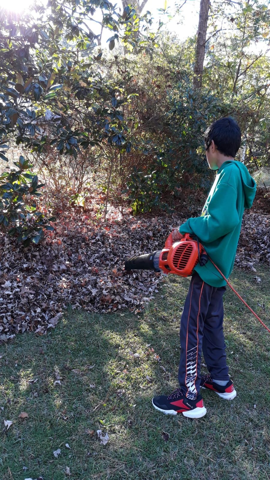 BLACK + DECKER Electric Leaf Blower, Hand Held Blowers for Lawn Care, Up to 450 CFM and 140 MPH Power, Axial, Lightweight, Corded (BEBL750) customer photo 2