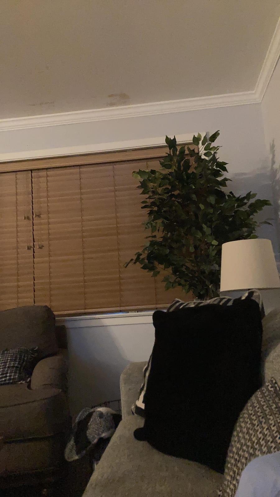 Goplus Artificial Bamboo Tree, 5ft Tall Faux Bamboo Plant, Large Fake Tree with Leaves and Natural Trunk, Greenery Floor Artificial Plants in Pots for Home Office Living Room Indoor Outdoor Decor customer photo 2