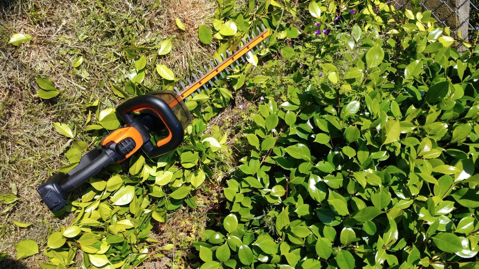 WORX Cordless Hedge Trimmer, 20V 22