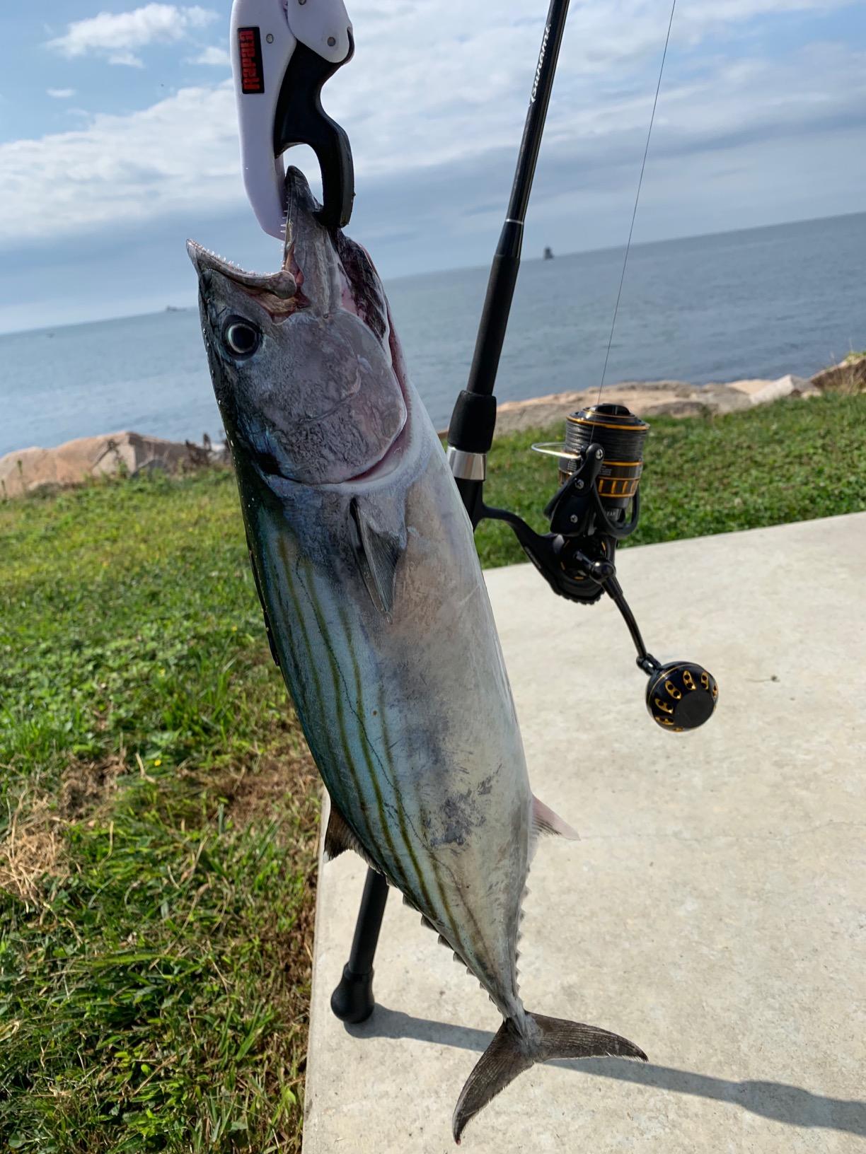 Tsunami Trophy Spinning Surf Rods Series II customer photo 2