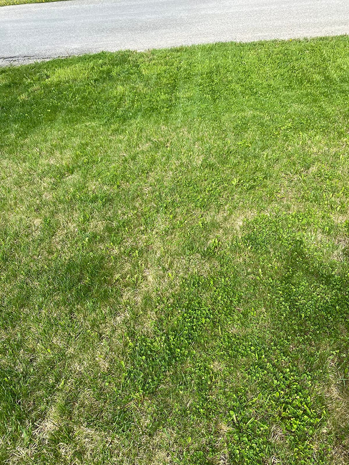 BLACK+DECKER Electric Push Lawn Mower, Corded, 13 Amp, 20-Inch Cutting Deck, 6 Setting Height Adjustment, Compact Storage, Collection Bag (BEMW213) customer photo 1