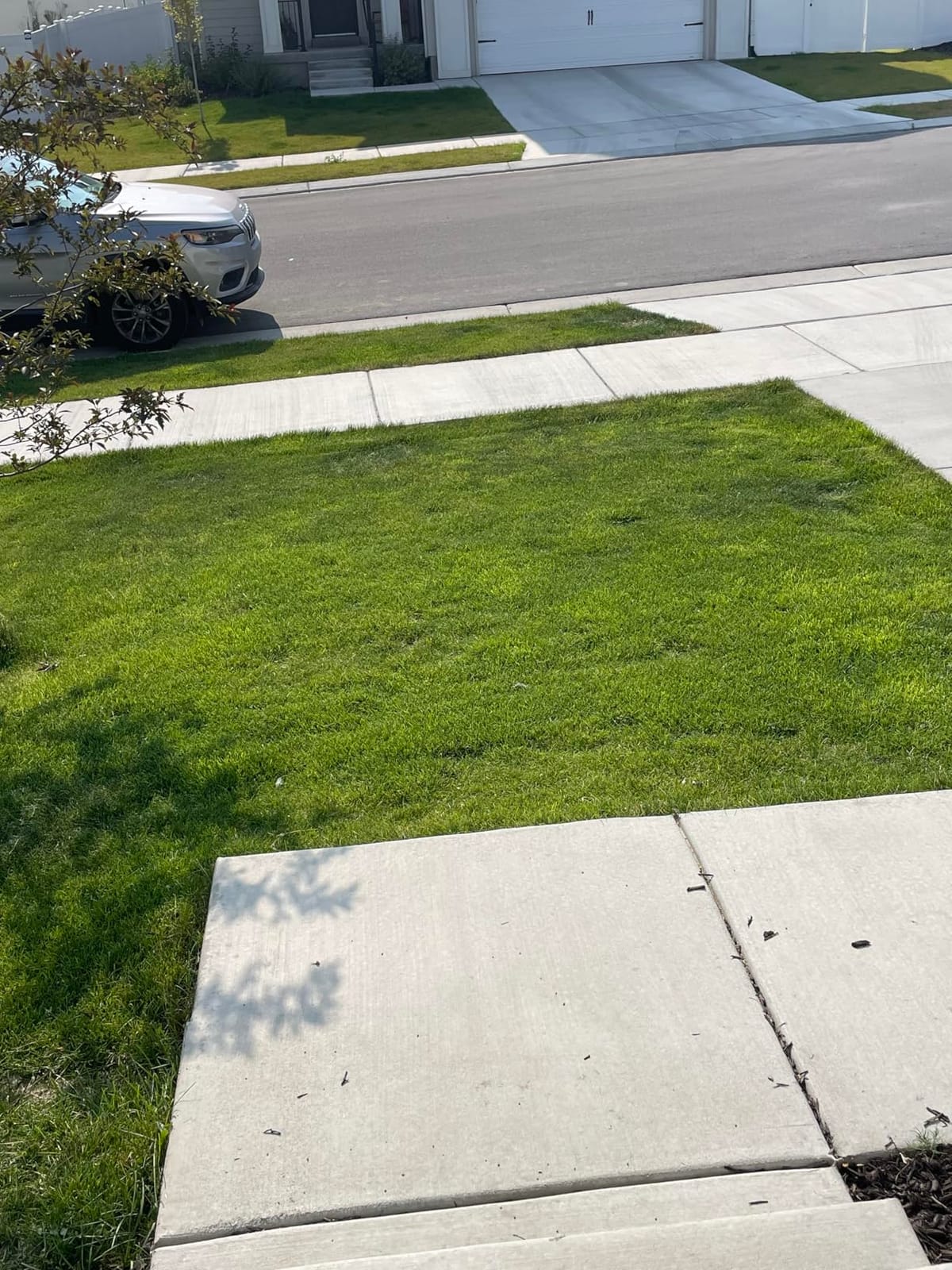 BLACK+DECKER Electric Push Lawn Mower, Corded, 13 Amp, 20-Inch Cutting Deck, 6 Setting Height Adjustment, Compact Storage, Collection Bag (BEMW213) customer photo 2