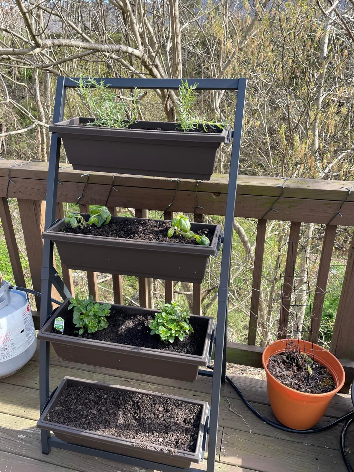 Outland Living 4-Ft Raised Garden Bed - Vertical Garden Freestanding Elevated Planters 4 Container Boxes - Good for Patio Balcony Indoor Outdoor - Perfect to Grow Vegetables Herbs Flowers customer photo 2