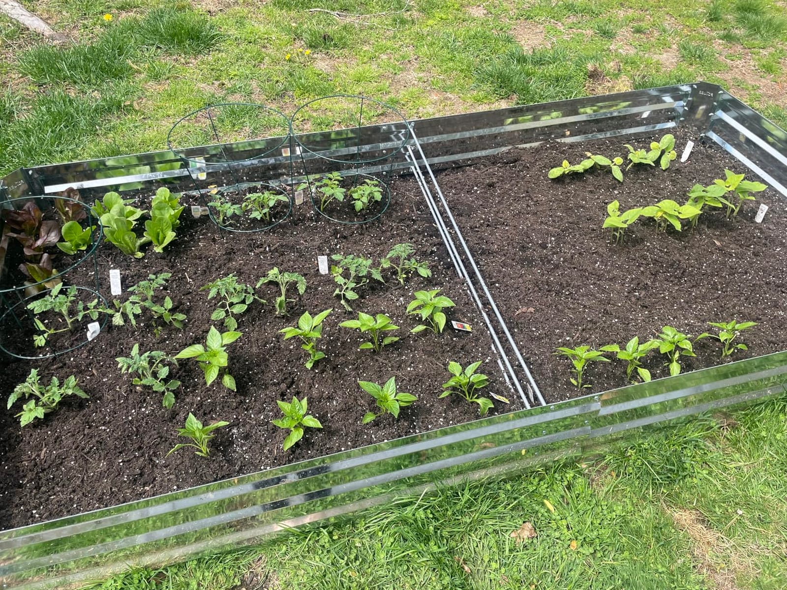 Galvanized Raised Garden Bed 8x4x1ft Single Unit customer photo 2
