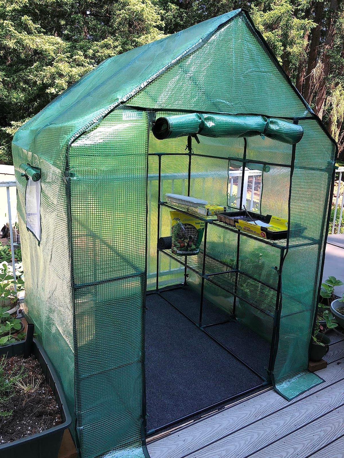 Ohuhu Greenhouse for Outdoors with Mesh Side Windows, 3 Tiers 4 Shelves Small Walk-In Green House Plant Stands Plastic PE Cover Outside Portable Warm House for Seedling Flowers Growing, 4.8x2.5x6.4 FT customer photo 2