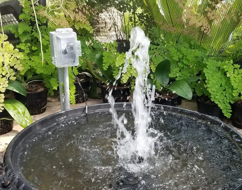 SongLong 400GPH Submersible Water Pump 6.5ft High Lift for Fountains | Ultra-Quiet with Over Heating Protection, Perfect for Hydroponic, Small Pond, Aquarium, Fountain Outdoor customer photo 1